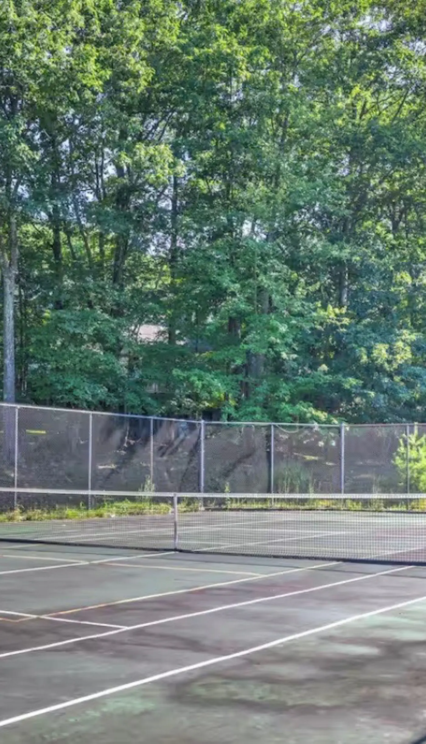 Lakefront Poconos Retreat! Pool & Hot Tub Access