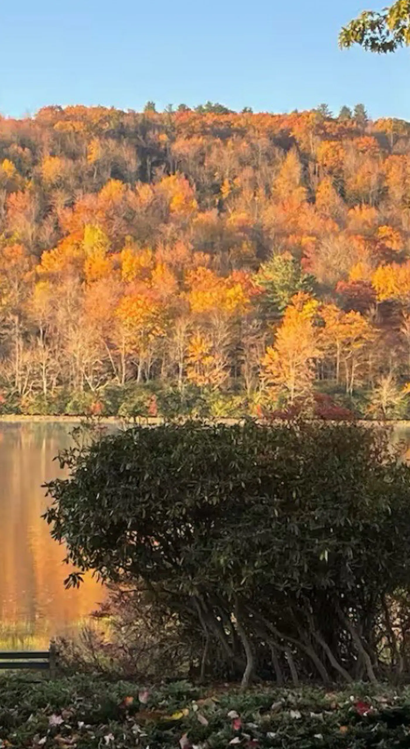 Lakefront Poconos Retreat! Pool & Hot Tub Access