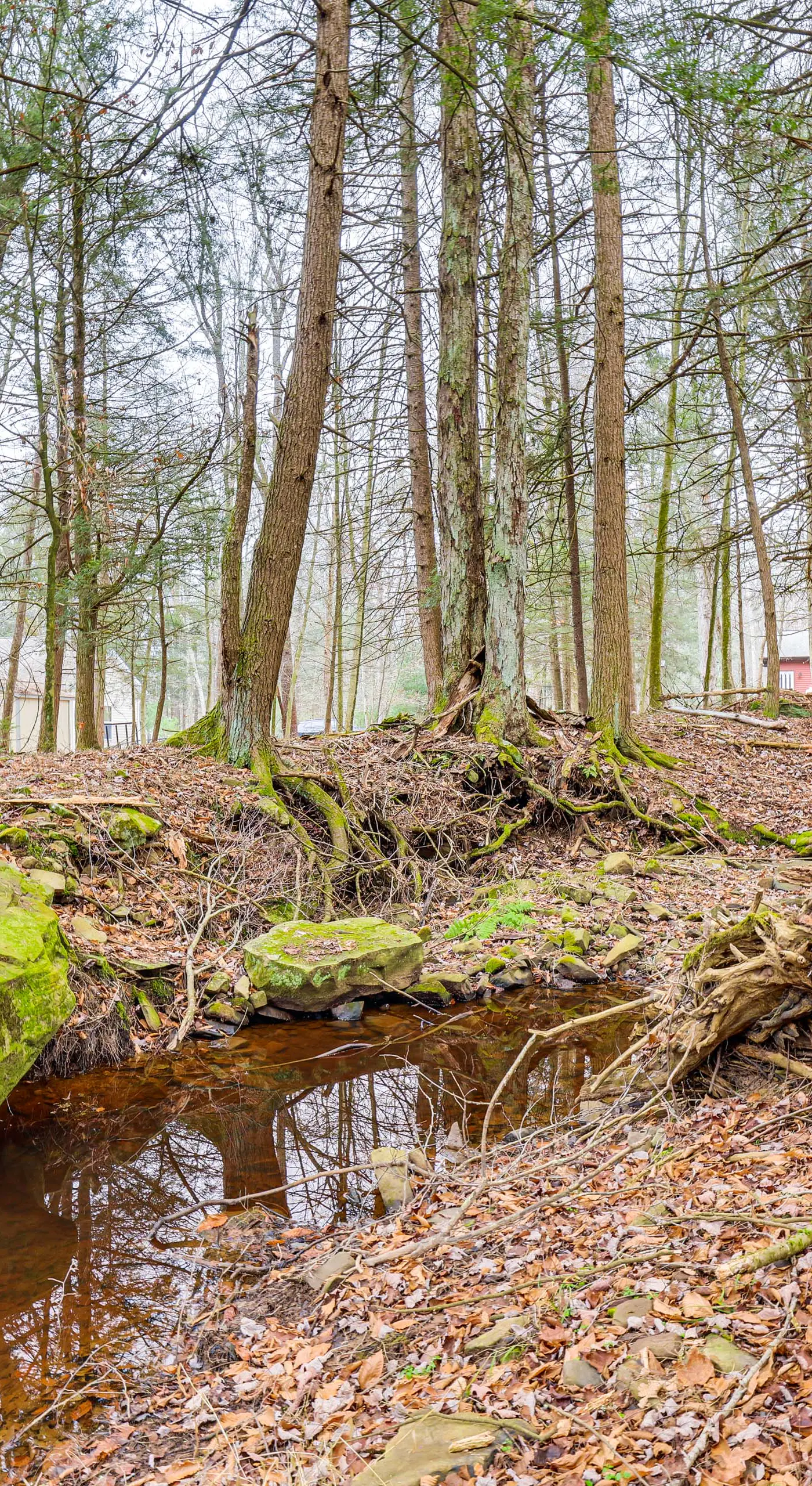 Fire Pit, Game Room, Lake, On-Site Stream Poconos!