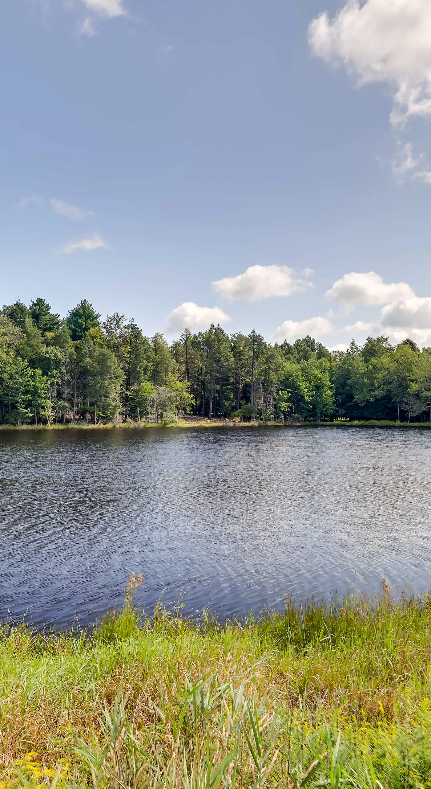 Fire Pit, Game Room, Lake, On-Site Stream Poconos!