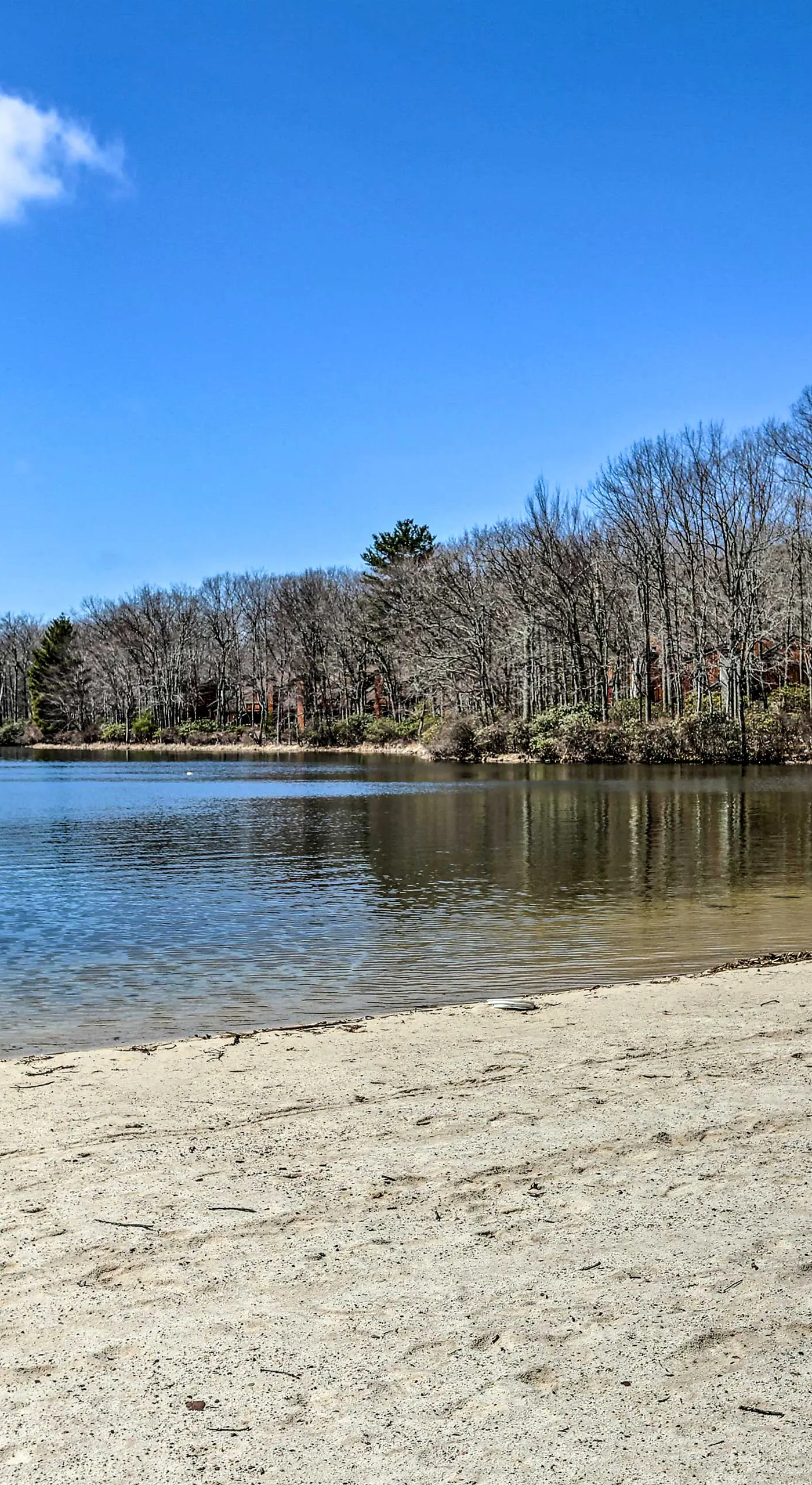 Walk to Big Boulder Mtn & Lake, Home w/ Hot Tub!