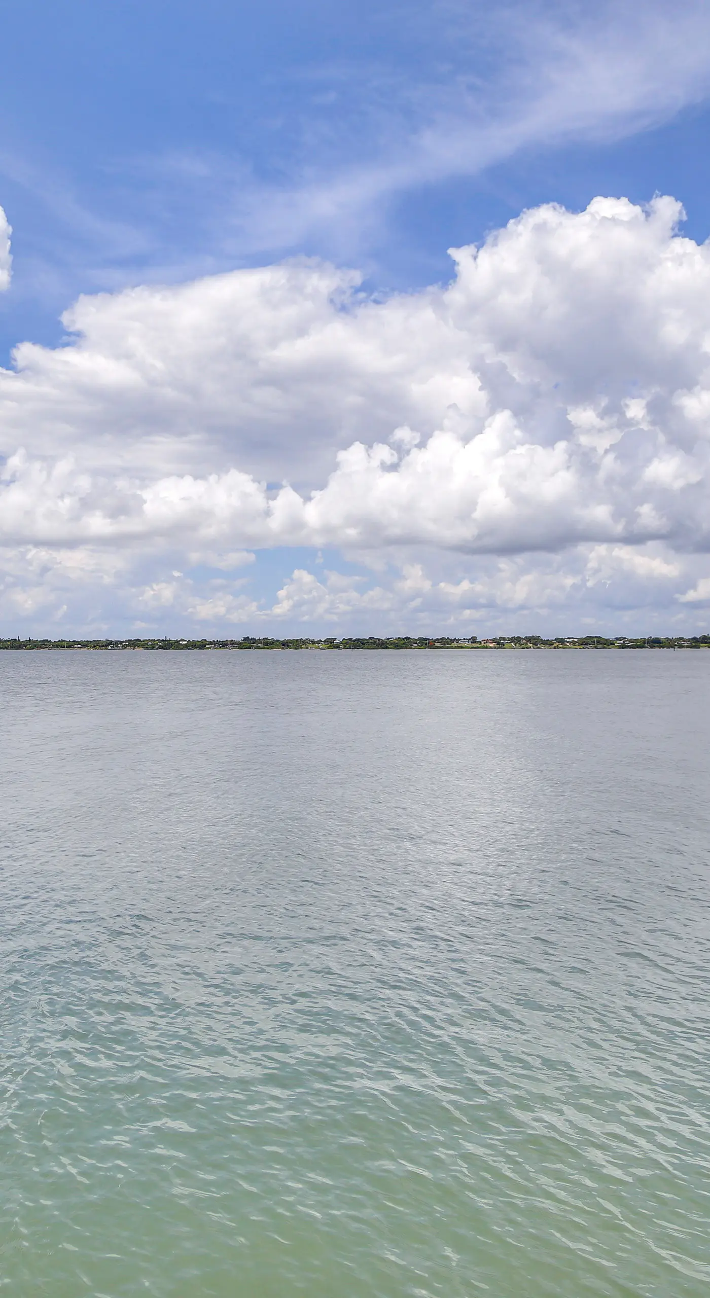 Waterfront Nettles Island Beach House: Pool Access