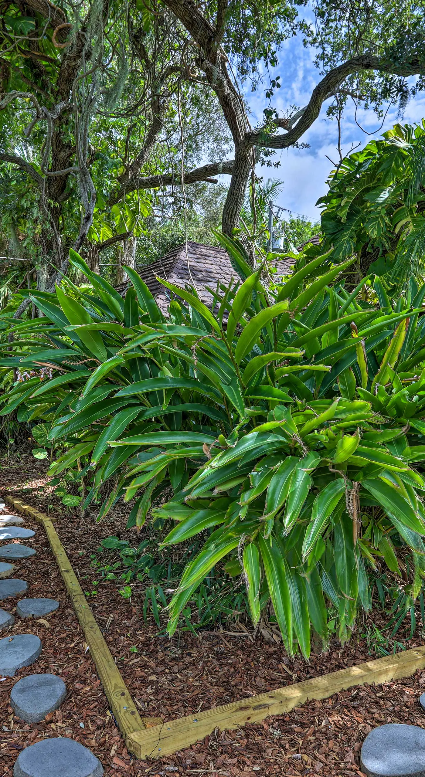 'Bali House' Tranquil Merritt Island Oasis!