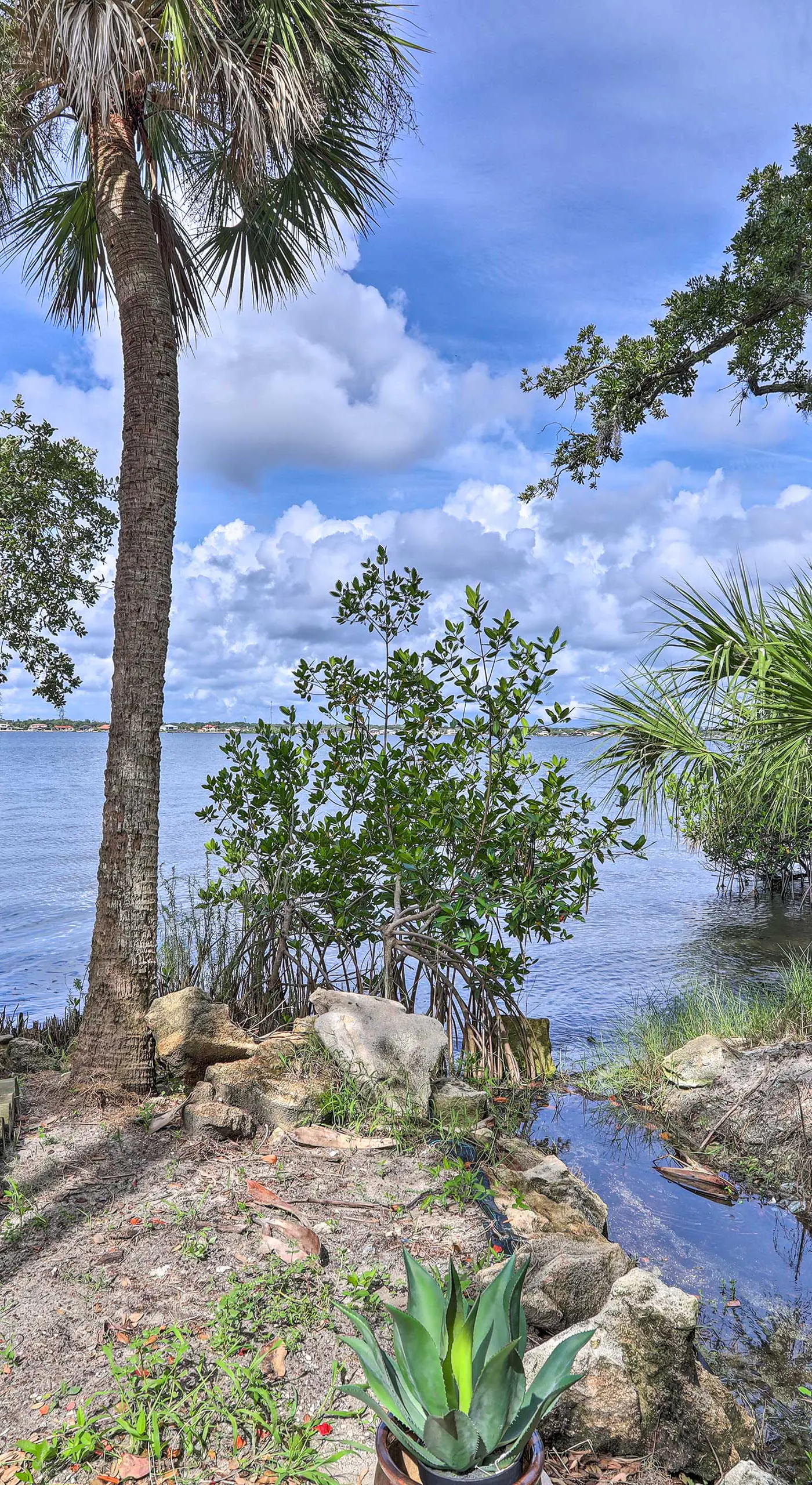 'Bali House' Tranquil Merritt Island Oasis!