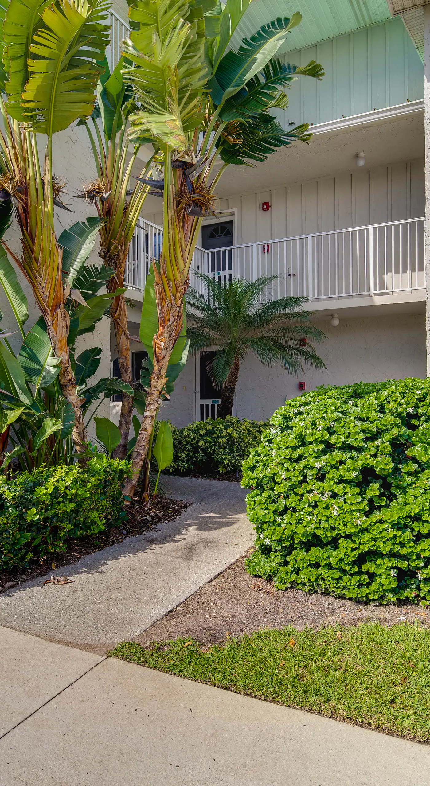 Sunny Ocean Village Beach Condo: Community Pool