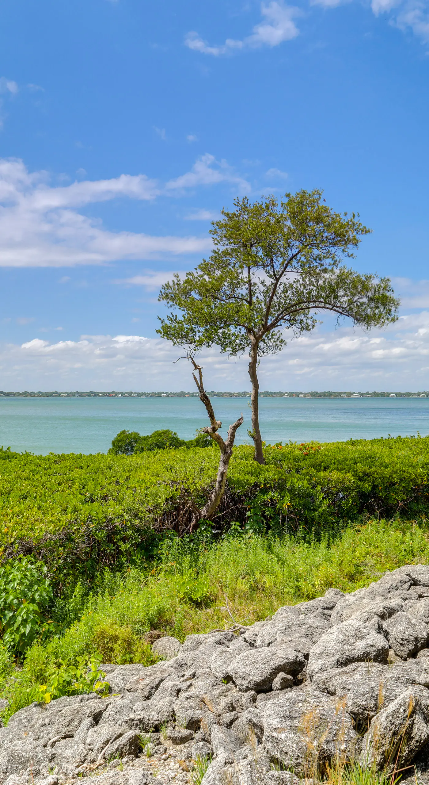 Walk to Stuart Beach: Resort Condo w/ Water View!