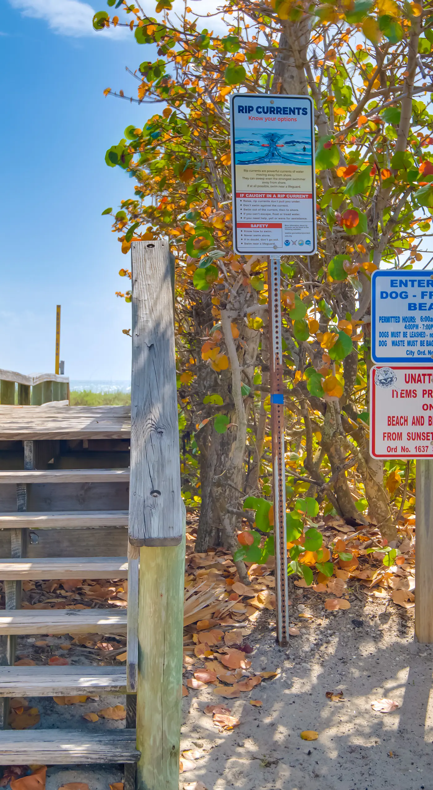 Dogs Welcome, Steps to Beach: Cocoa Beach Retreat!