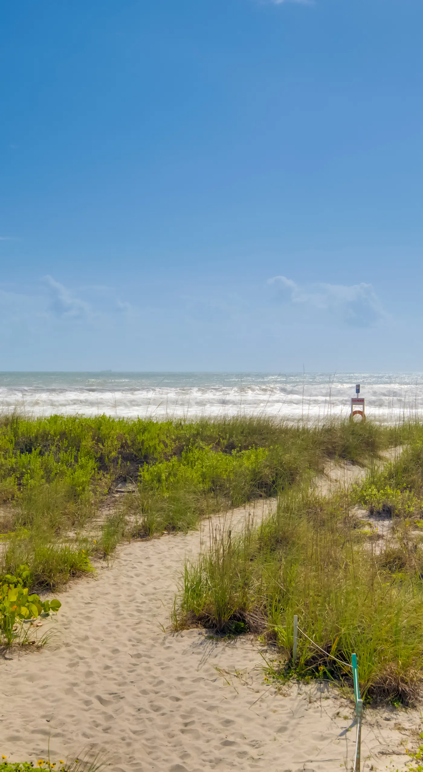 Dogs Welcome, Steps to Beach: Cocoa Beach Retreat!