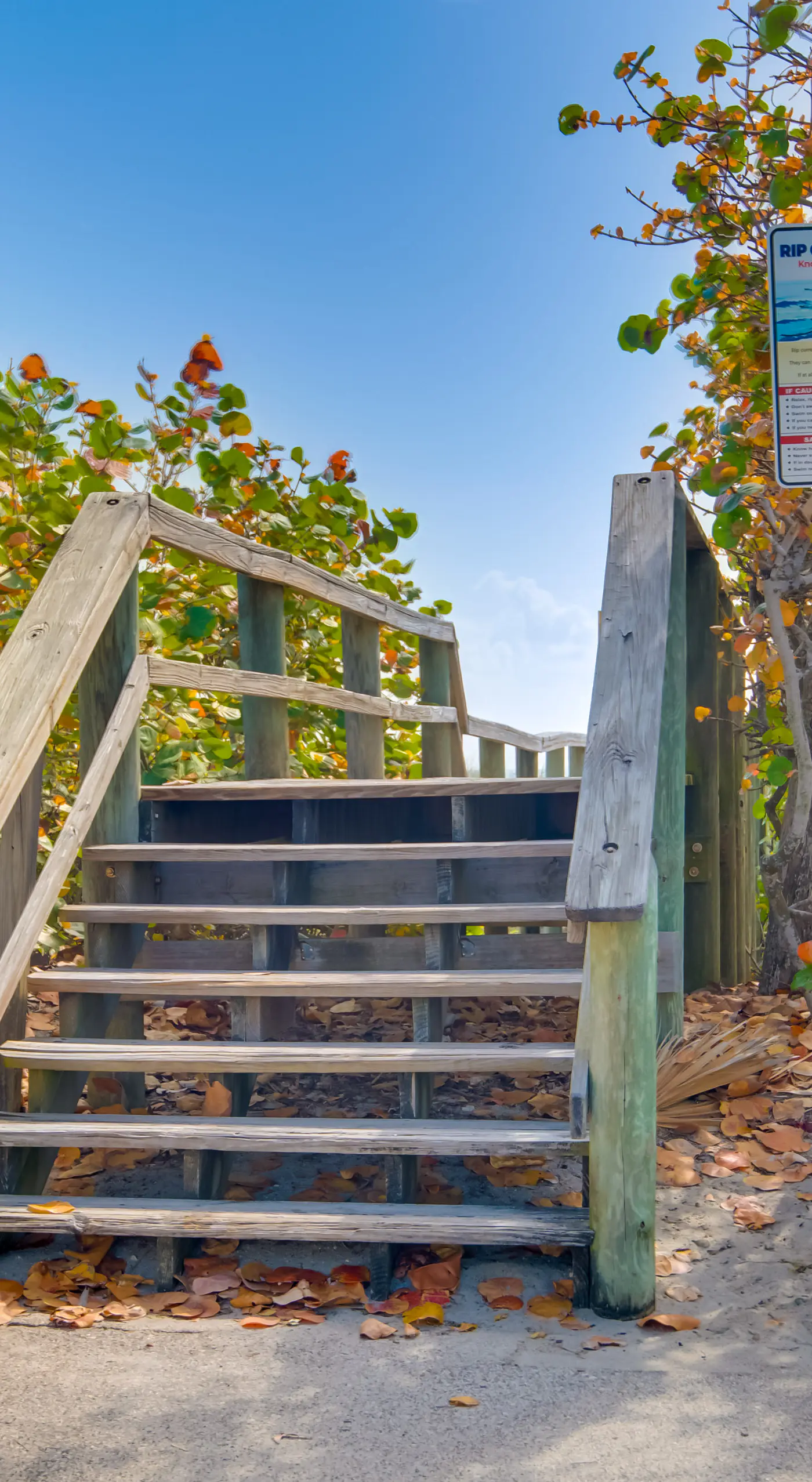 Walk to Beach: Dog-Friendly Gem in Cocoa Beach!