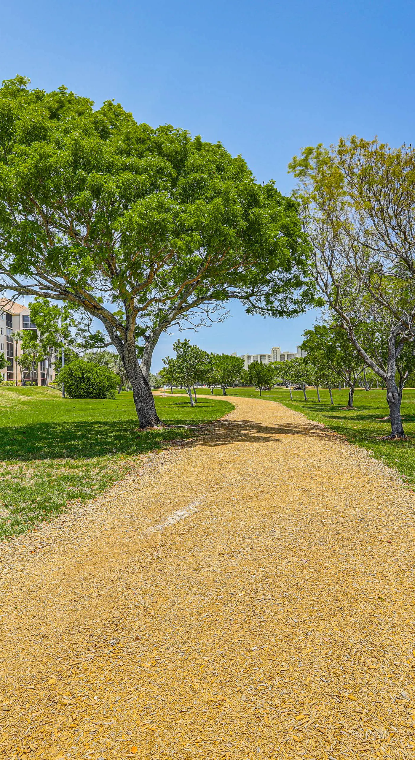 1/2 Mi to Jupiter Beach: Penthouse Condo w/ Views