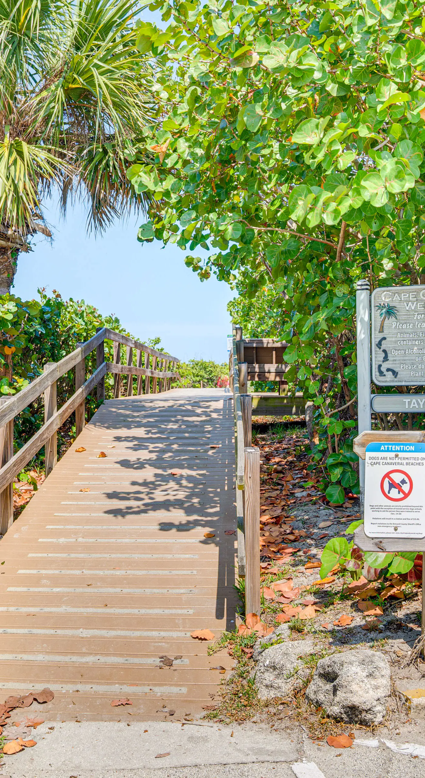 Pool Access: Beachfront Condo in Cape Canaveral!