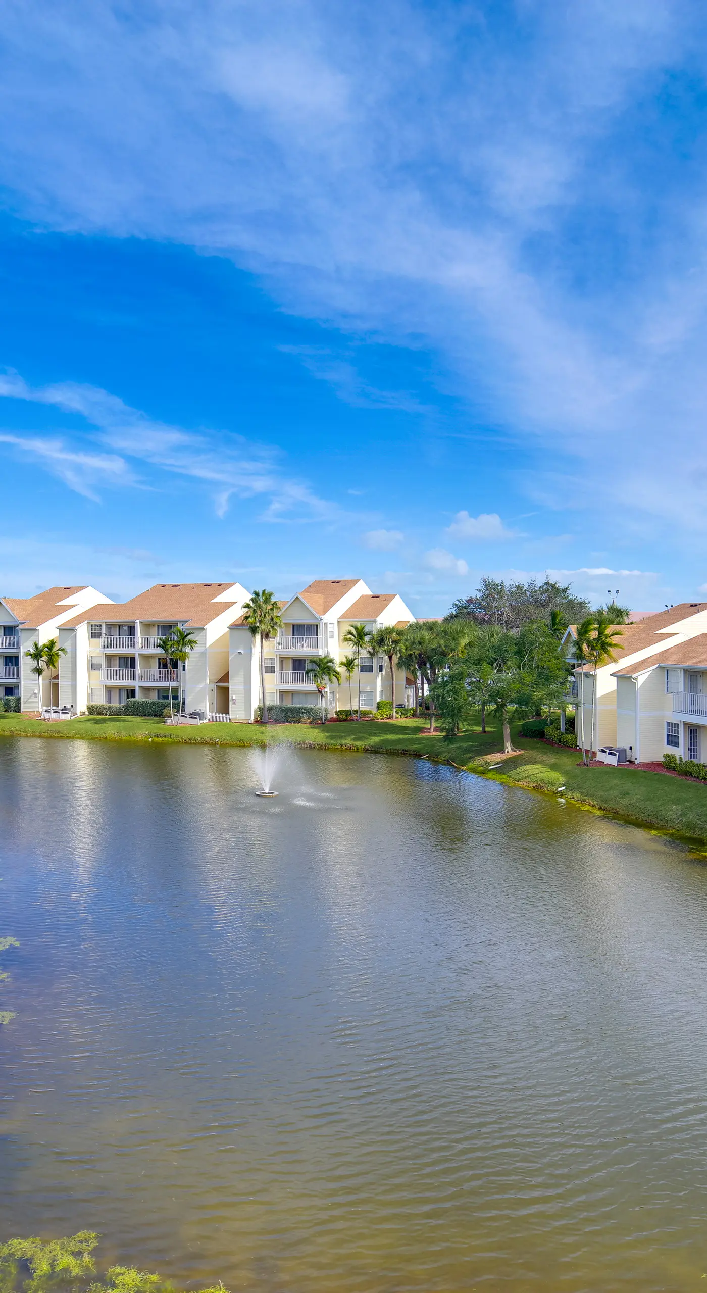 Walk to Canova Beach Park: Couple's Coastal Condo