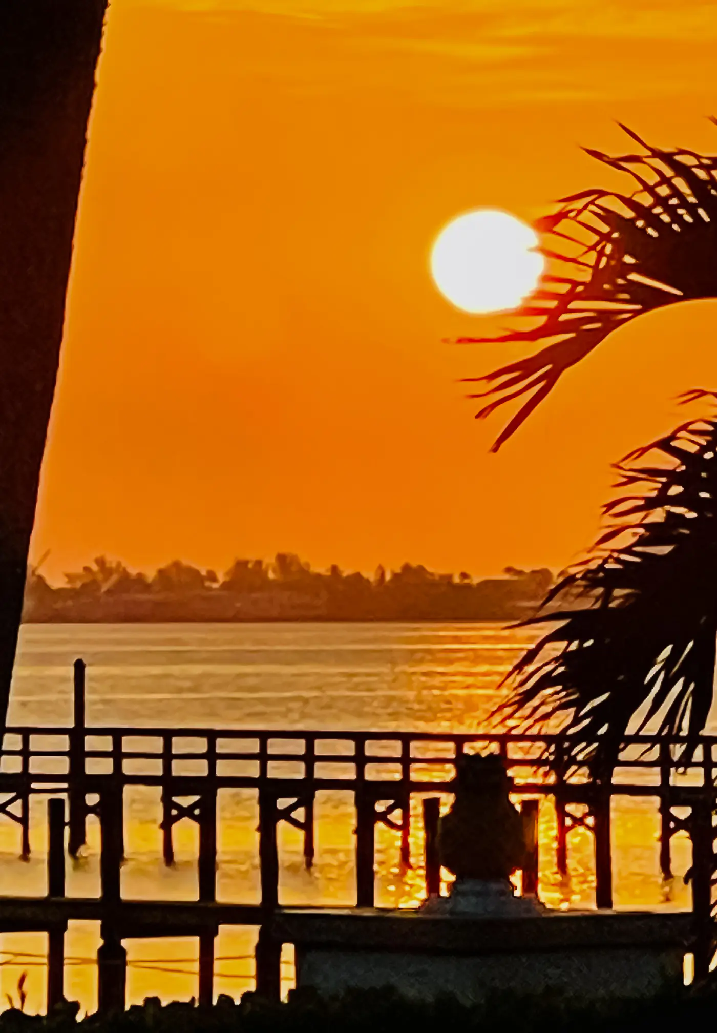 Jensen Beach Indian River Waterfront Retreat