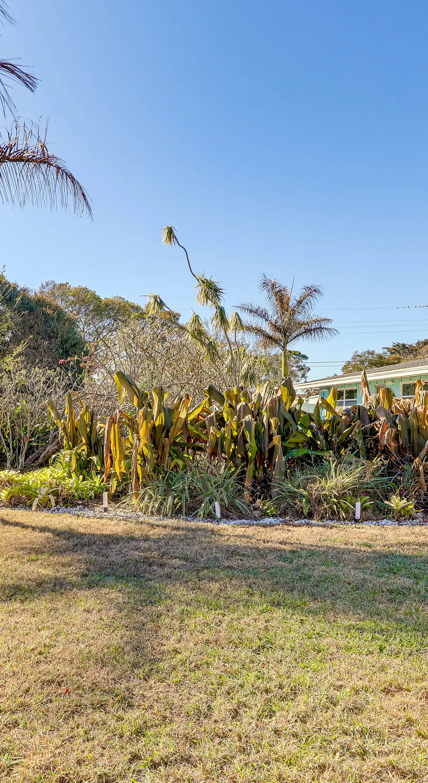 Heated Pool w/ No Fee! Vero Beach Oasis Near Ocean