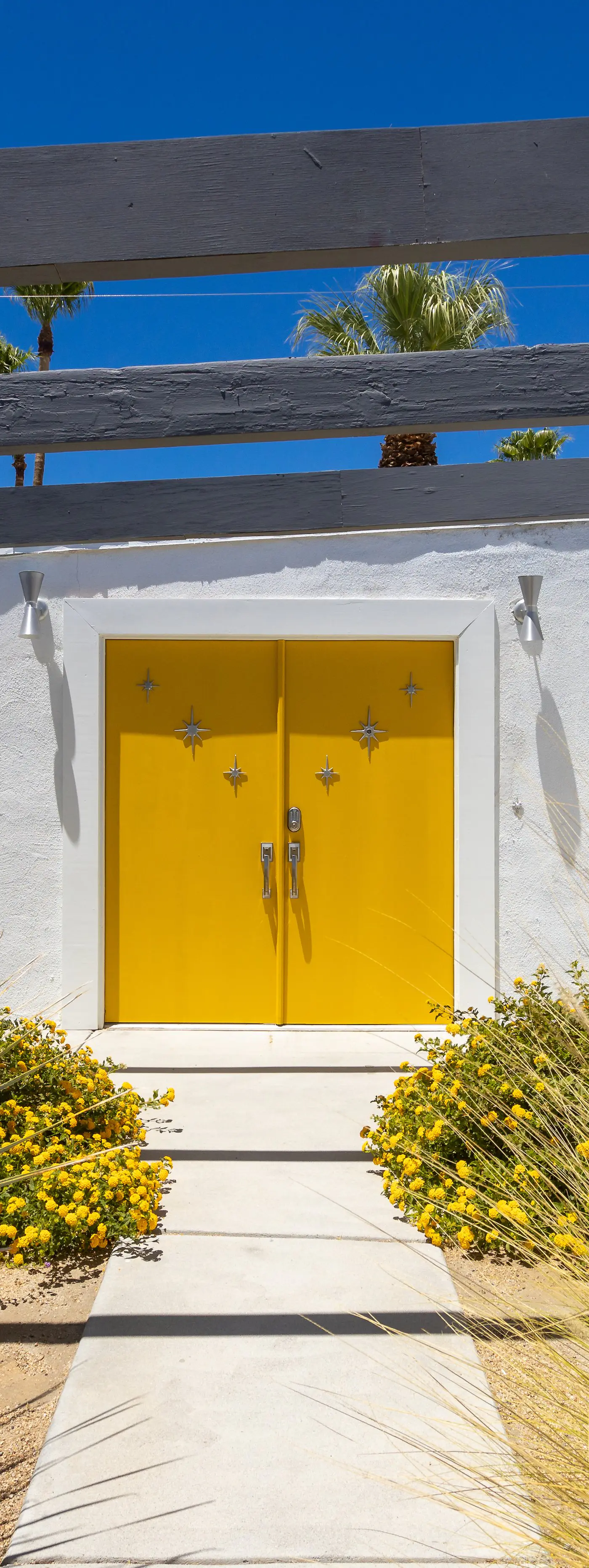 Mellow Yellow Butterfly