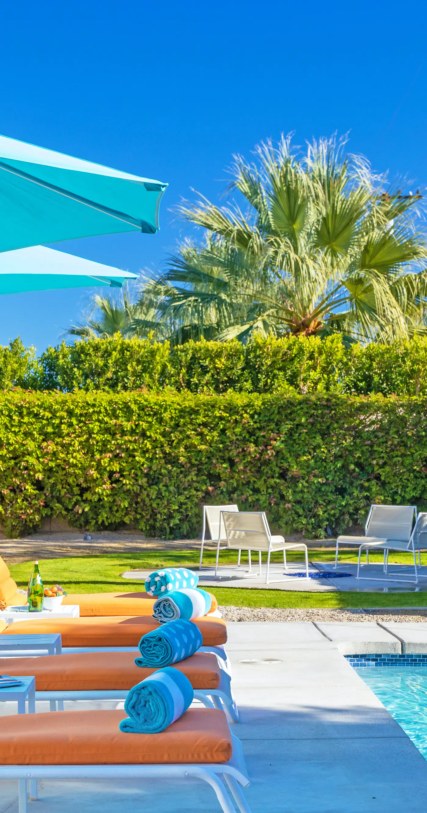 Papillon Palm Springs