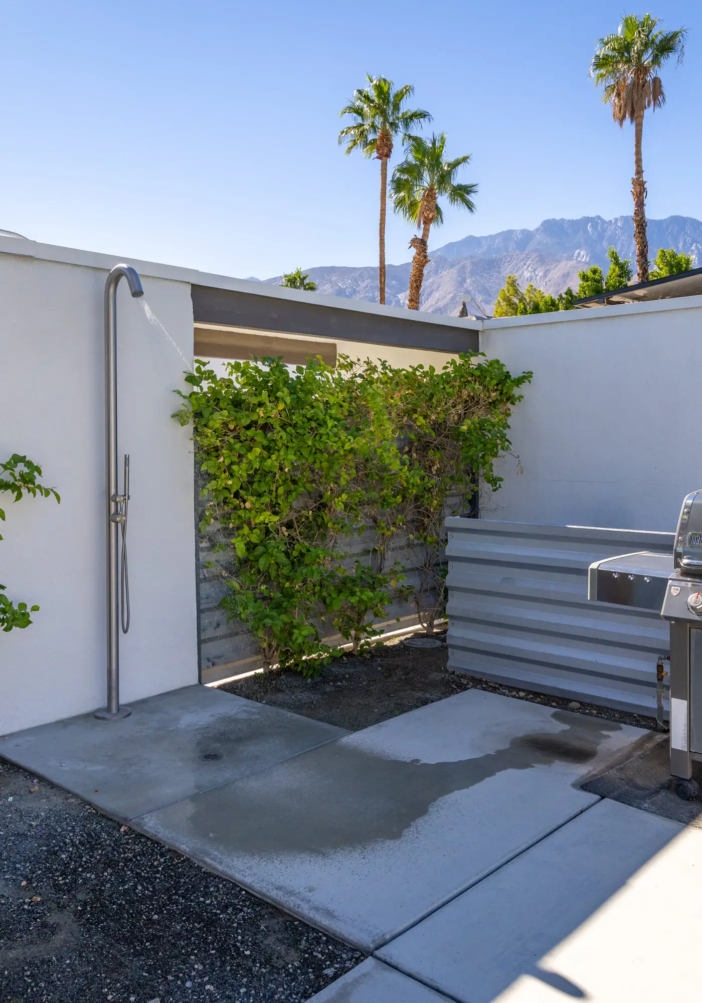 Bubble Gum Modern: Mid-Century Alexander
