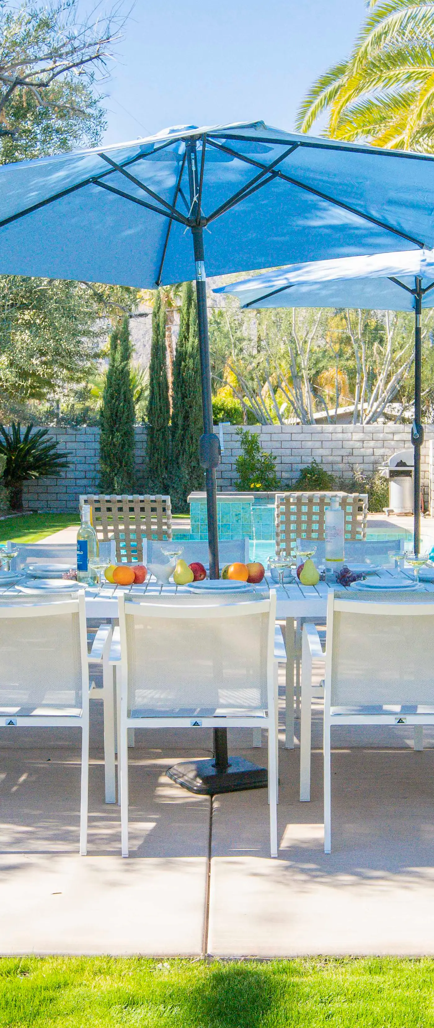 Canary Palms