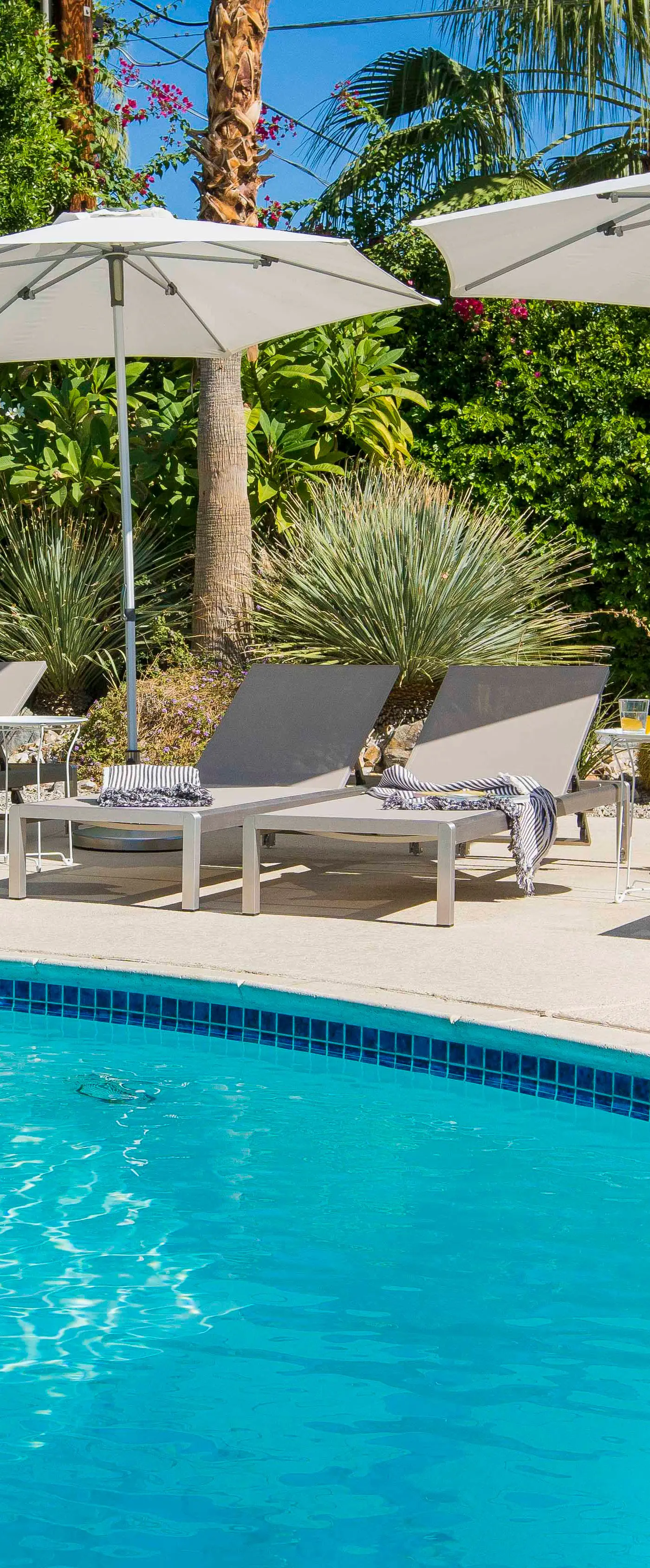 Modern Marion at Twin Palms