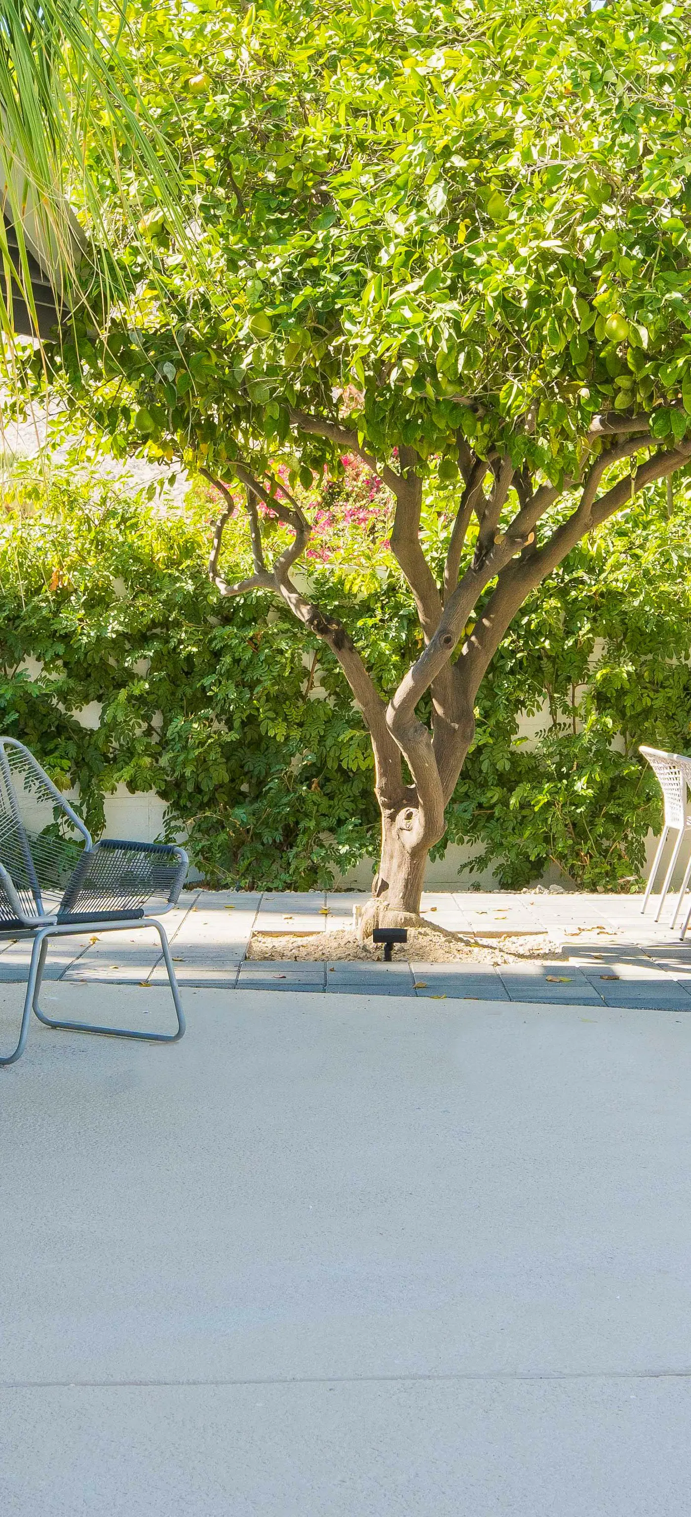 Modern Marion at Twin Palms