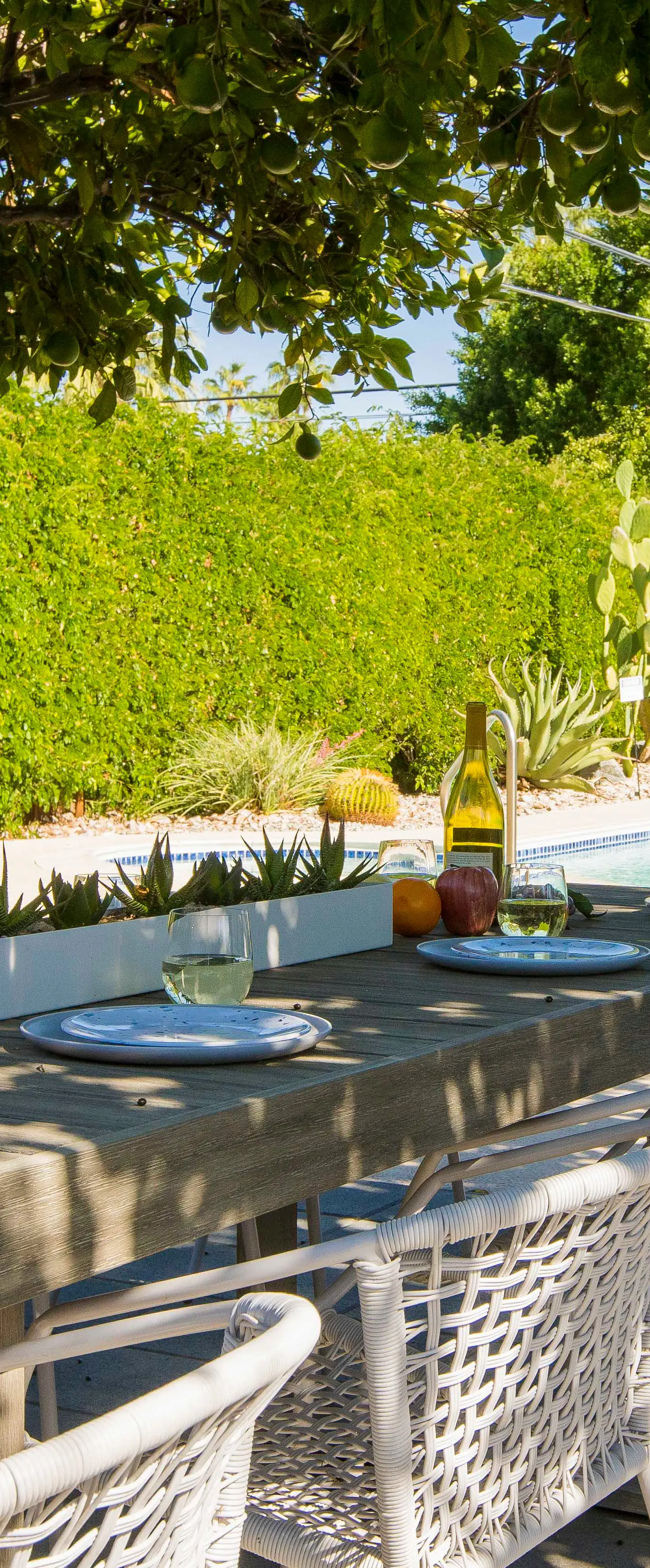 Modern Marion at Twin Palms