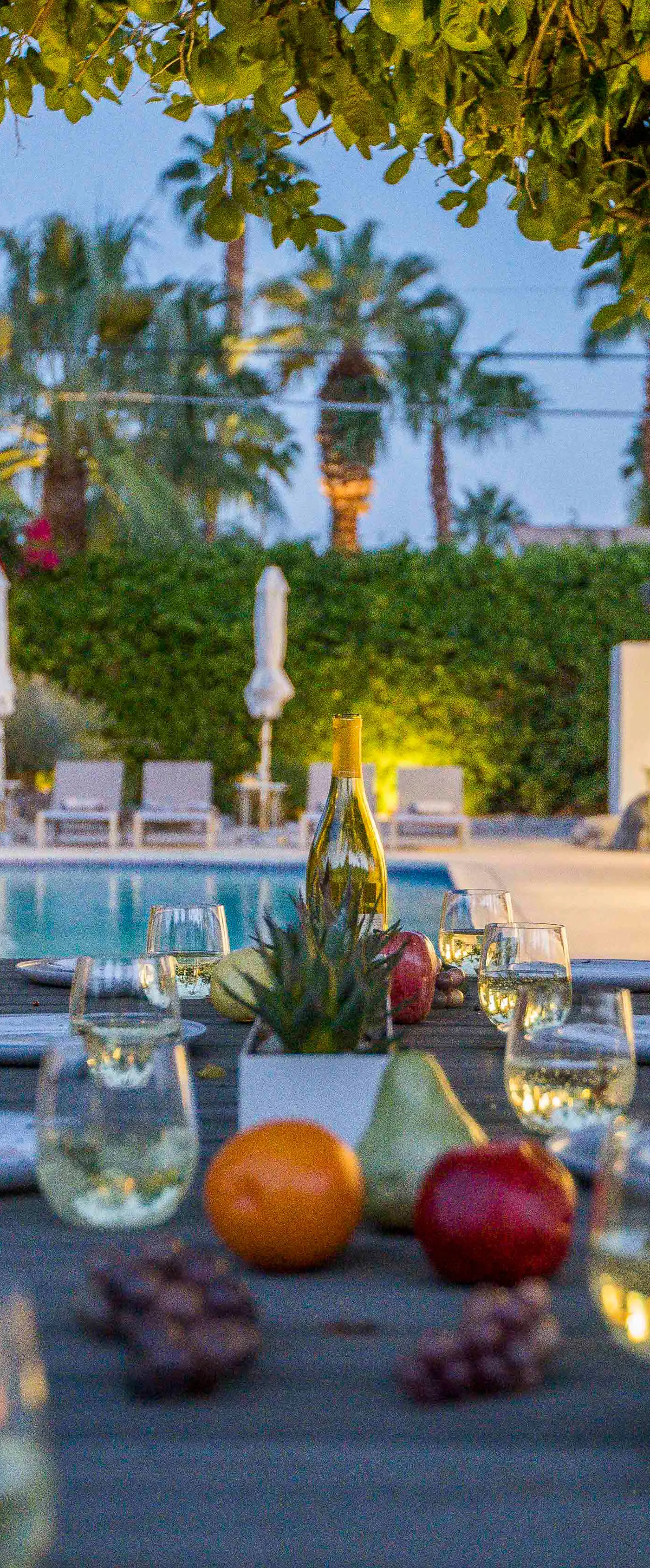 Modern Marion at Twin Palms