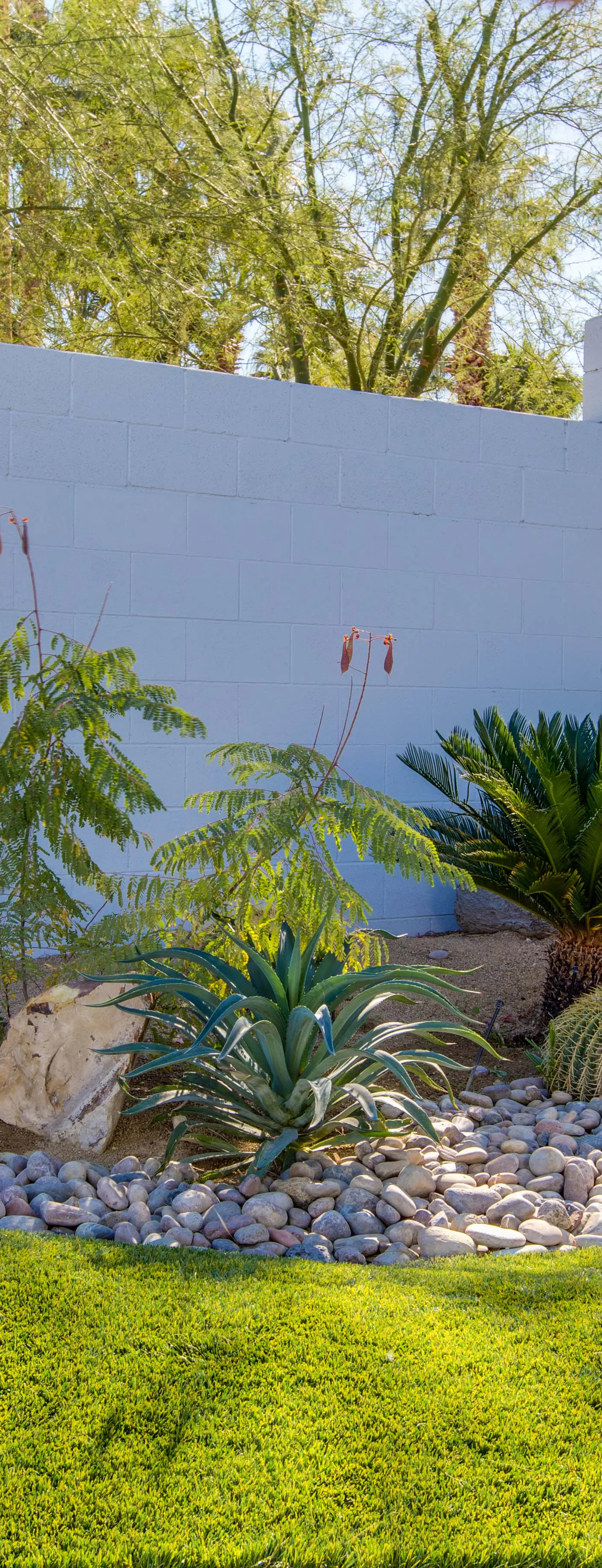Funtopia in the Canyons