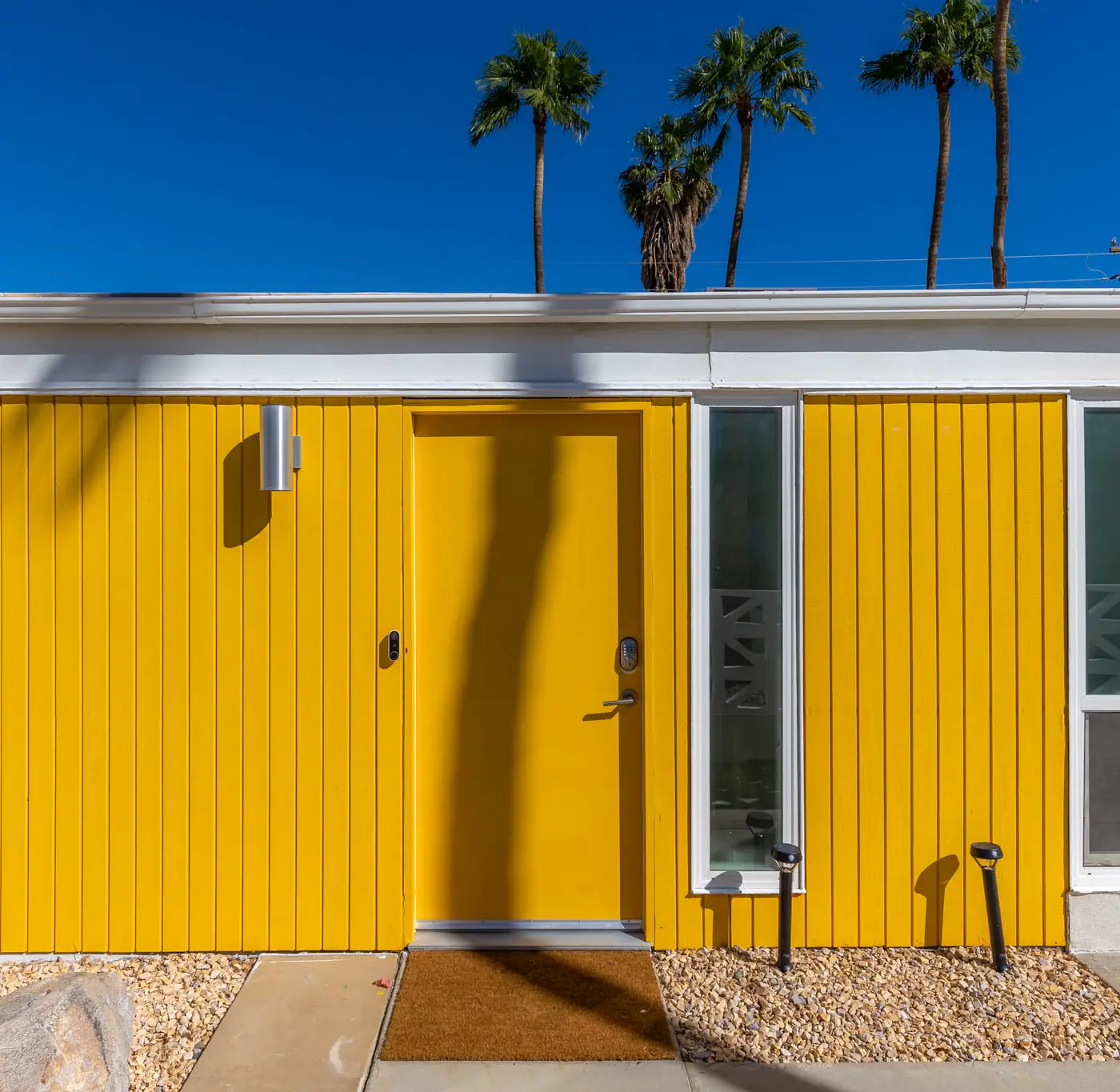 Citron Oasis