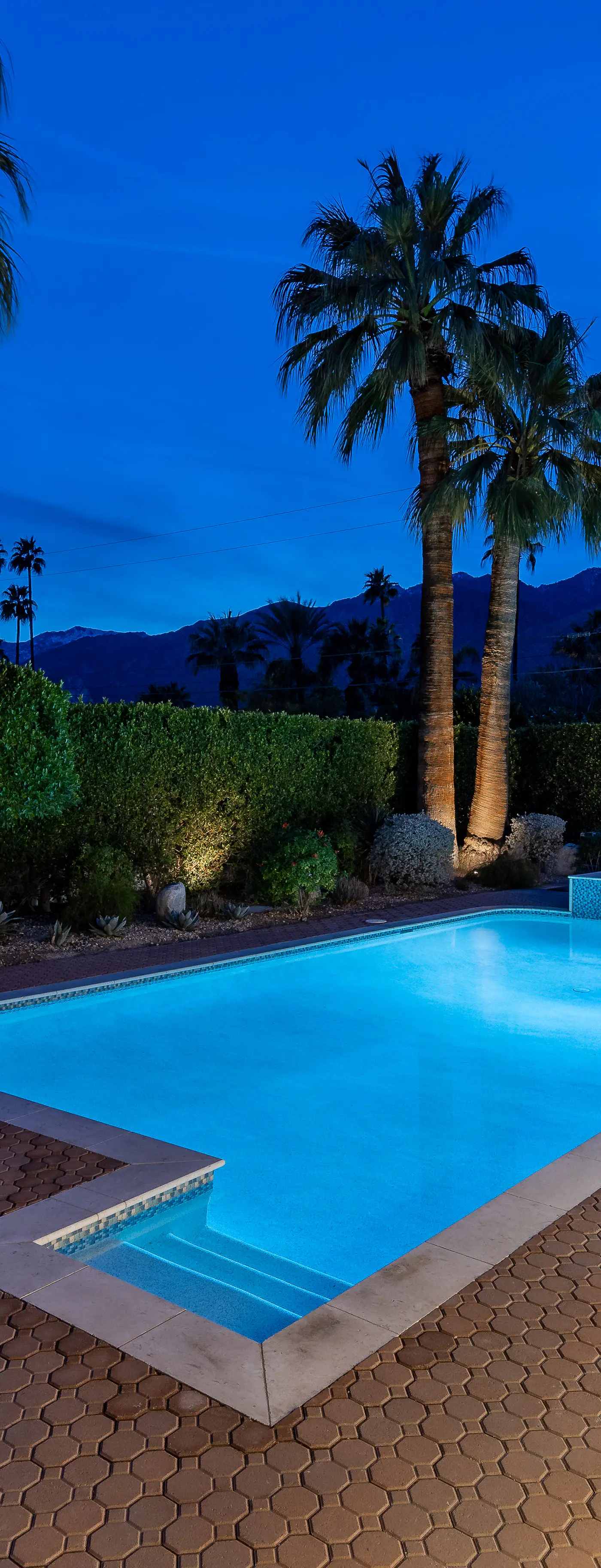 Blue Oasis