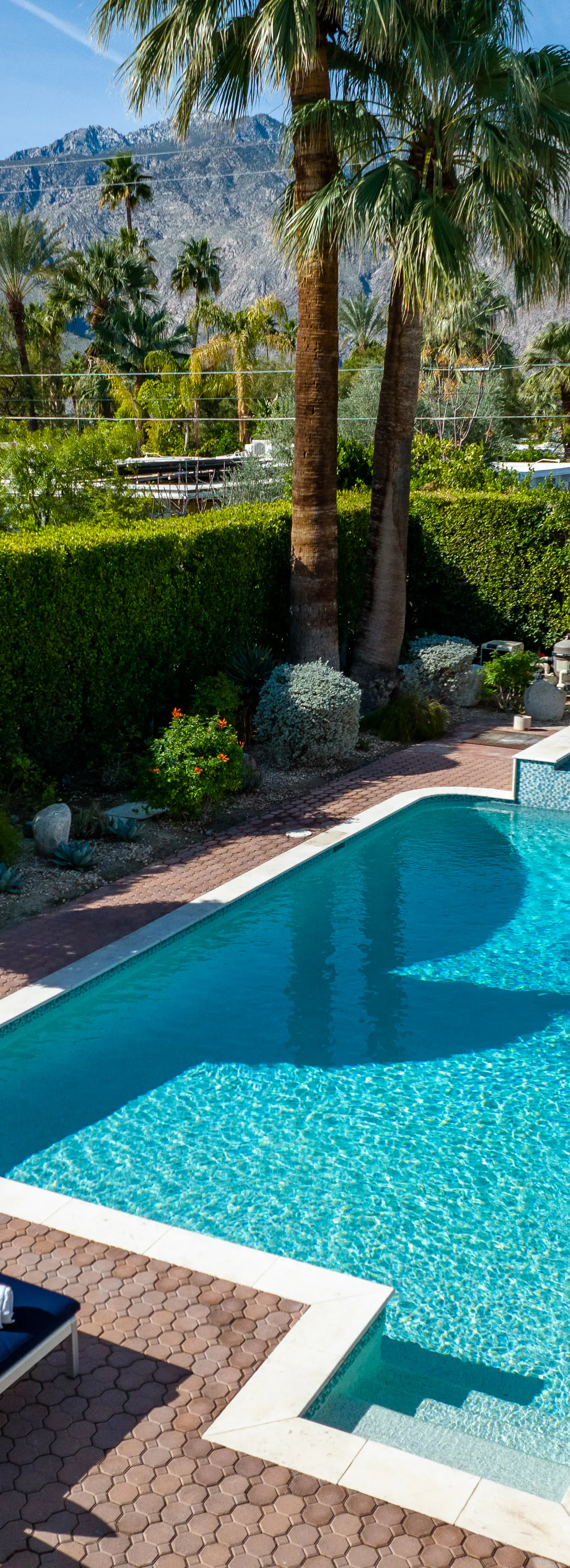 Blue Oasis