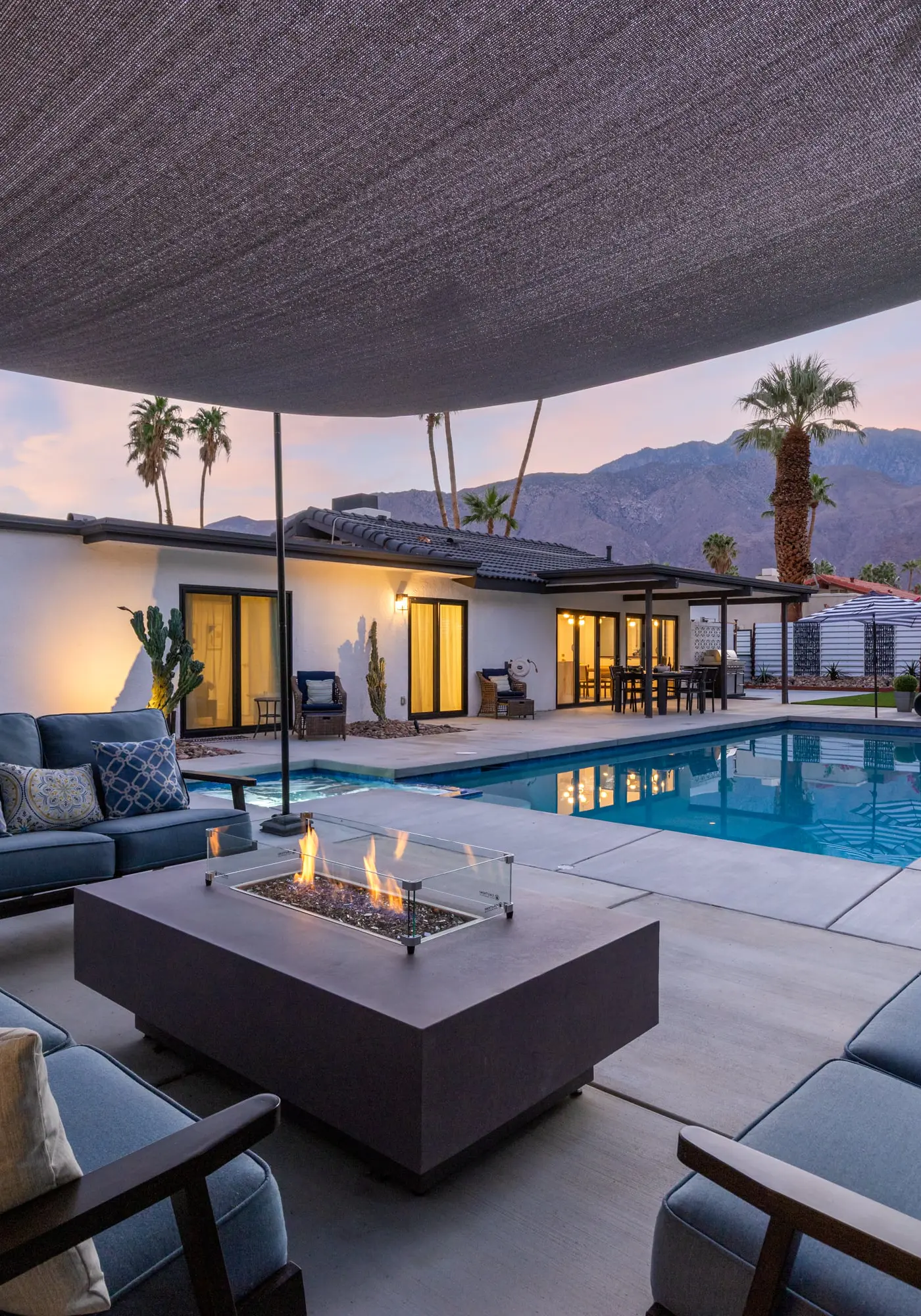 Alluring Palms