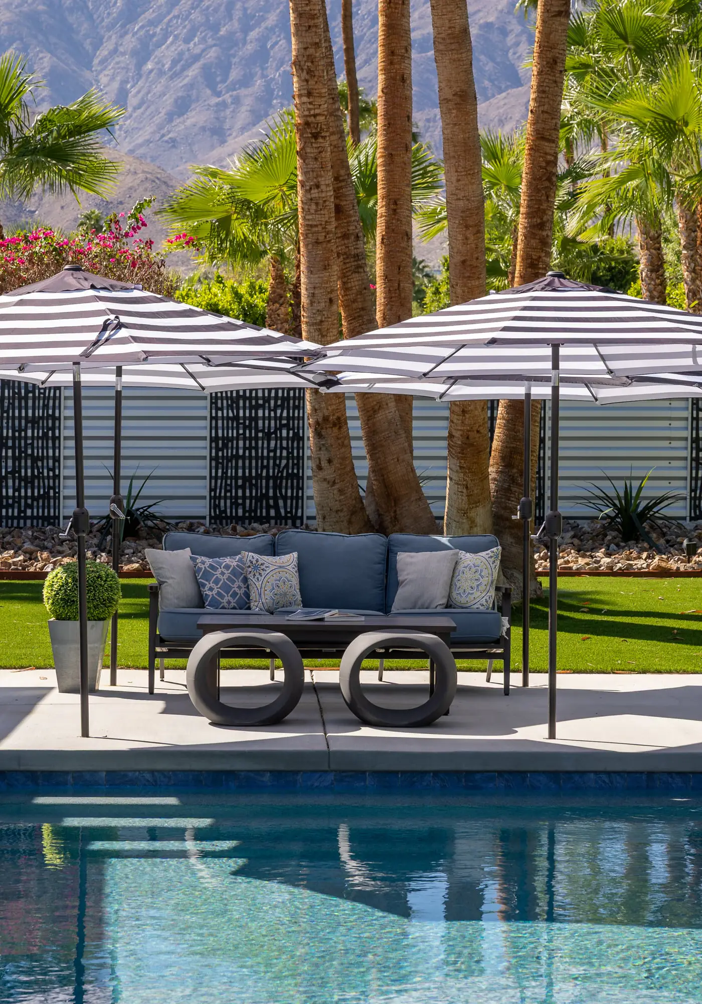 Alluring Palms
