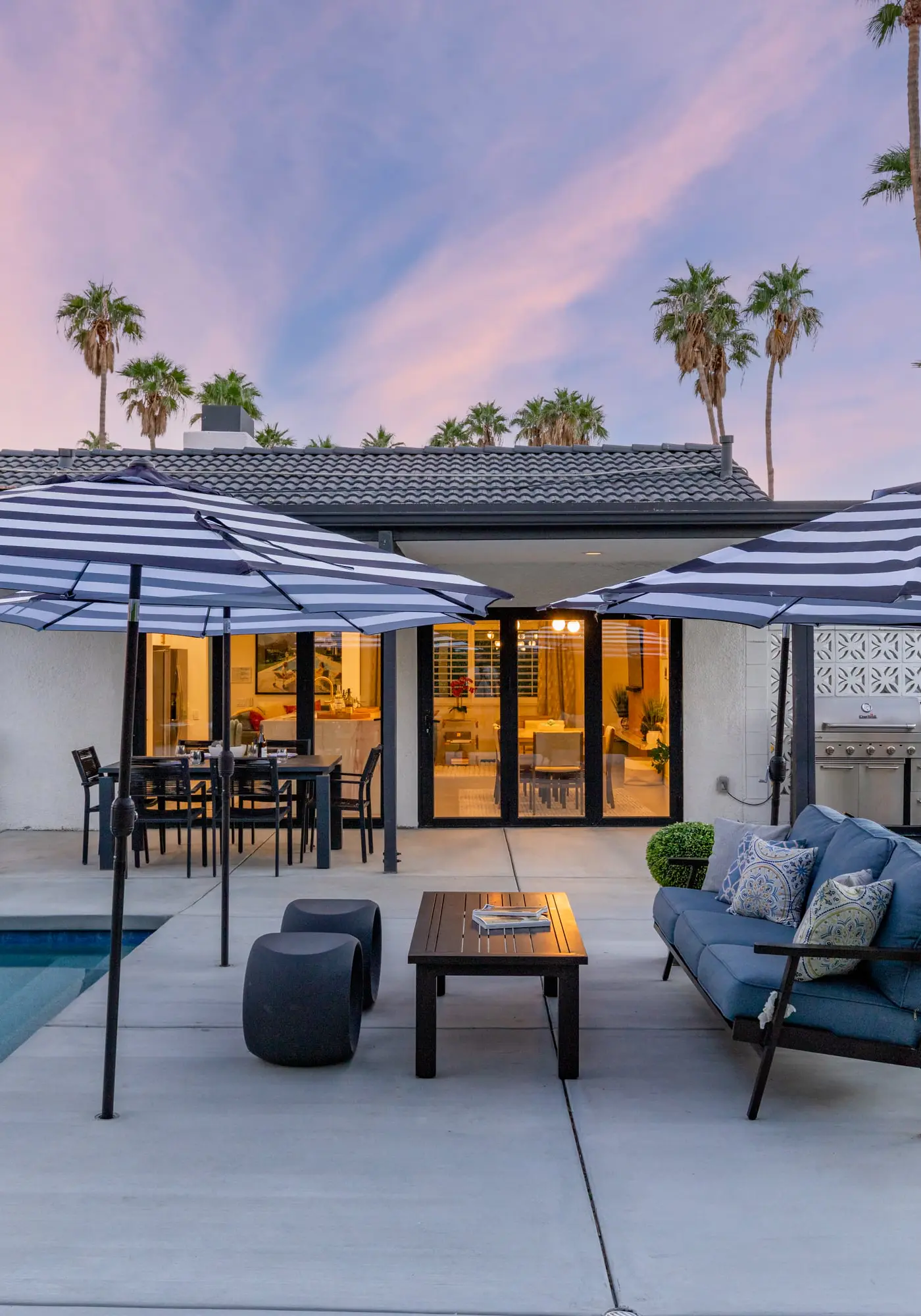 Alluring Palms