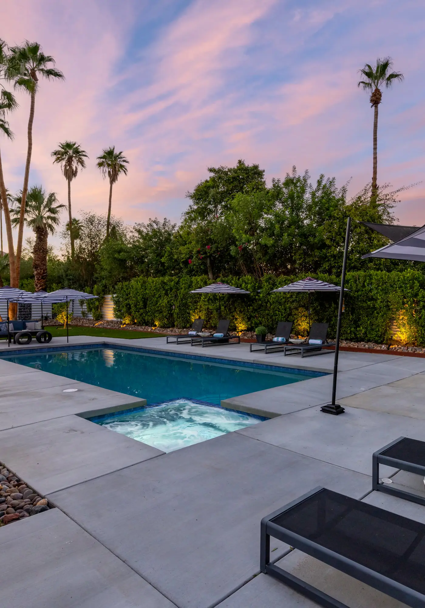 Alluring Palms