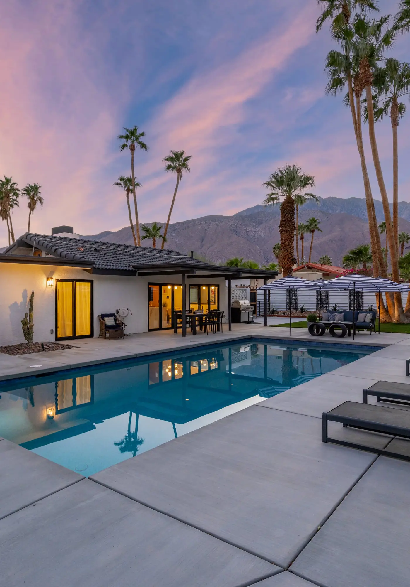 Alluring Palms
