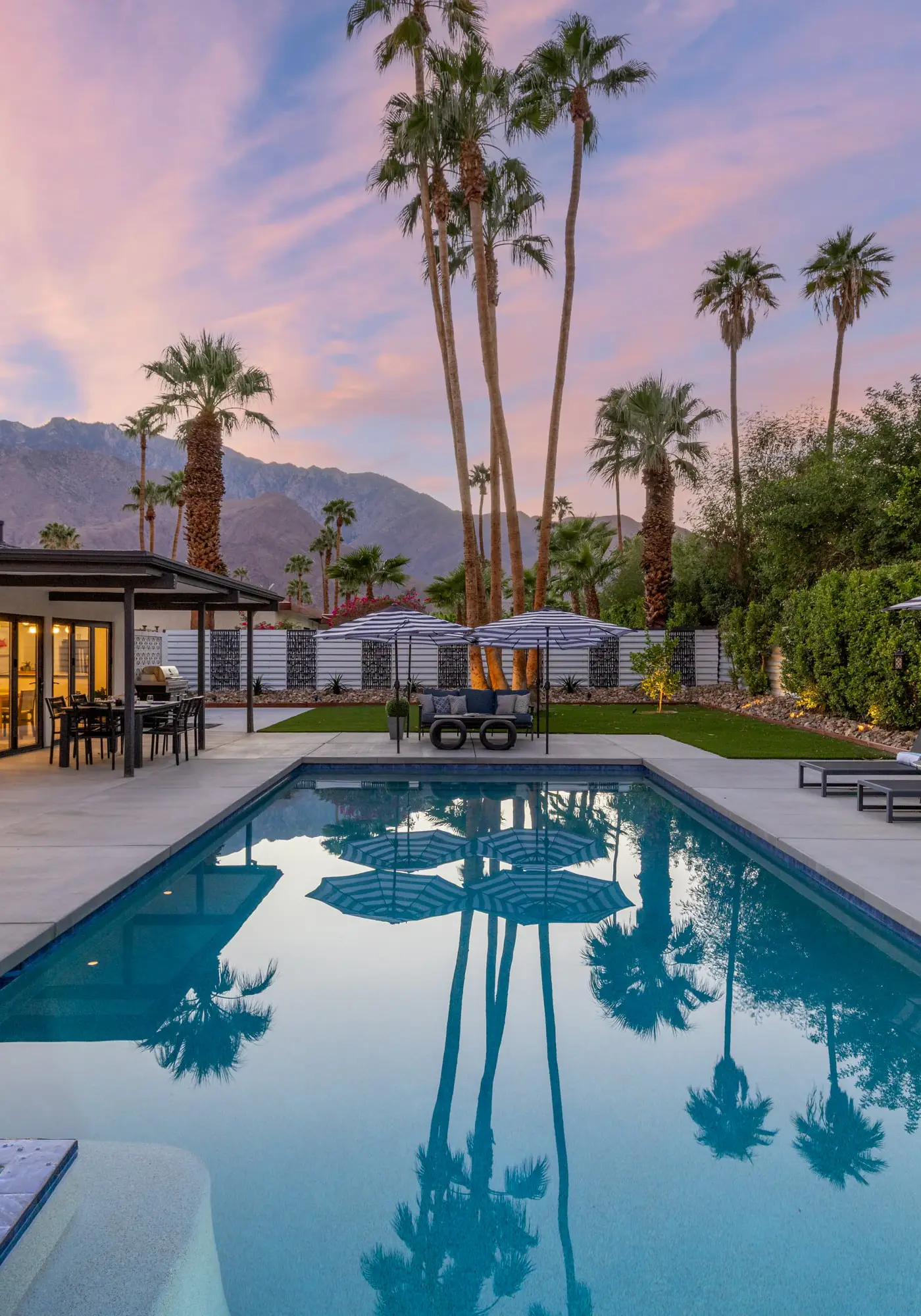 Alluring Palms