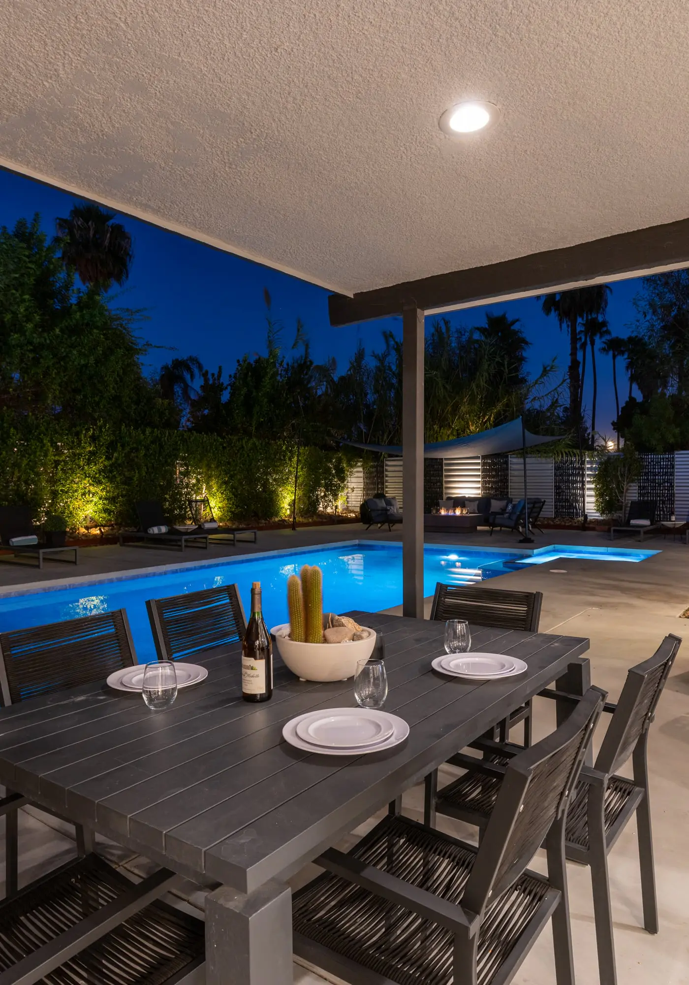 Alluring Palms