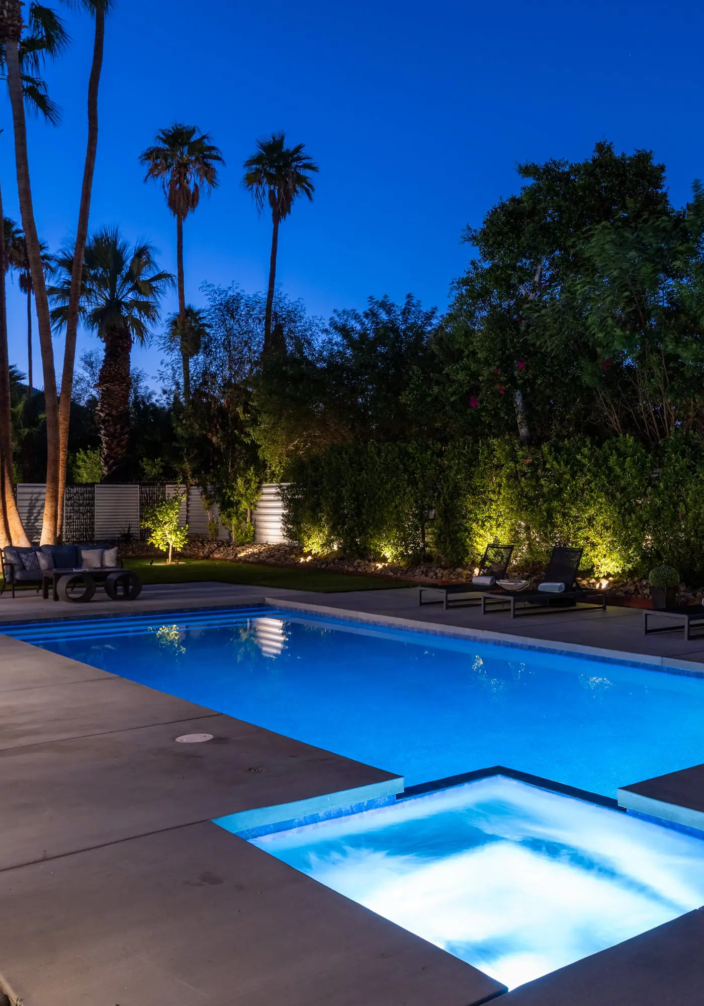 Alluring Palms