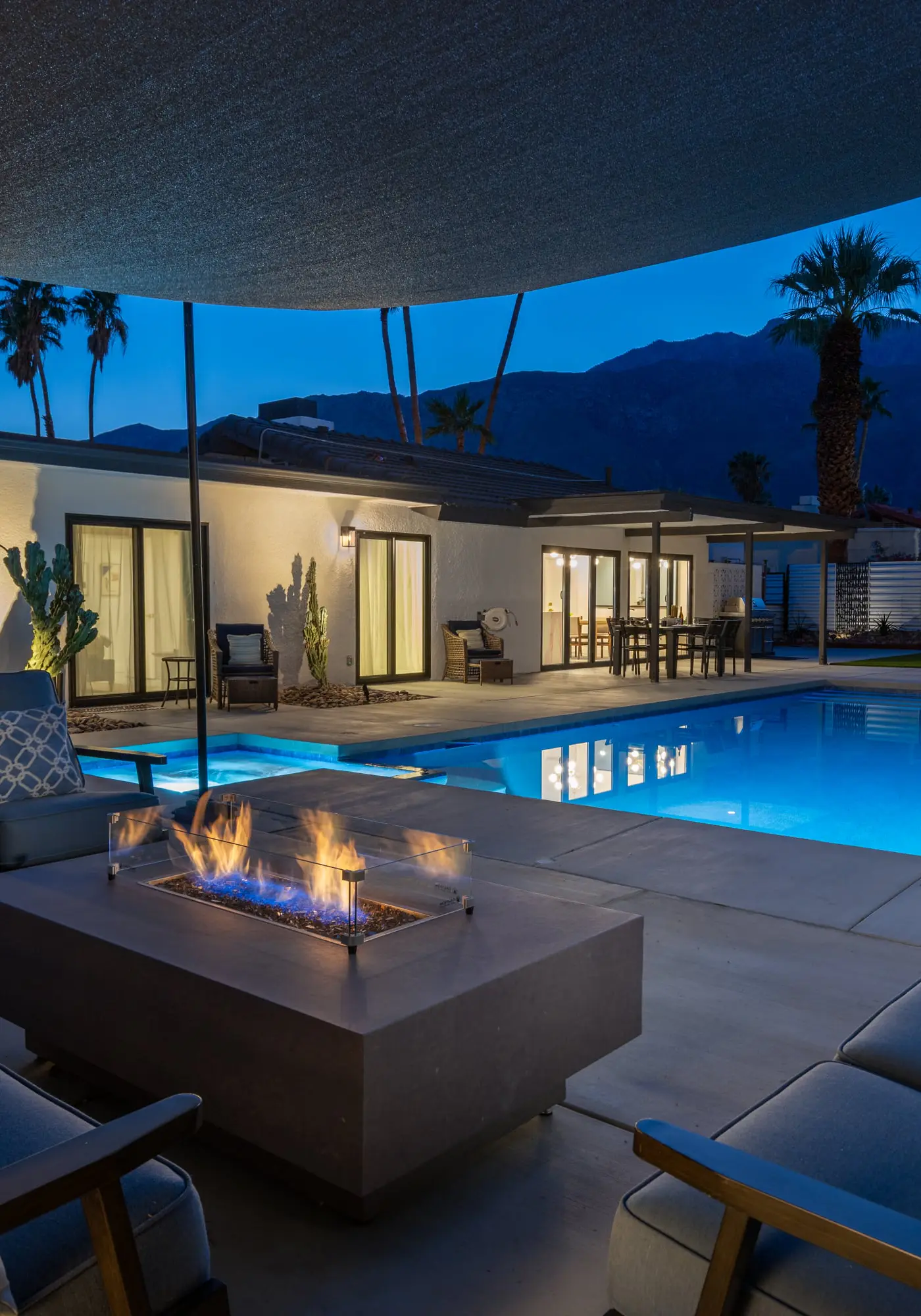 Alluring Palms