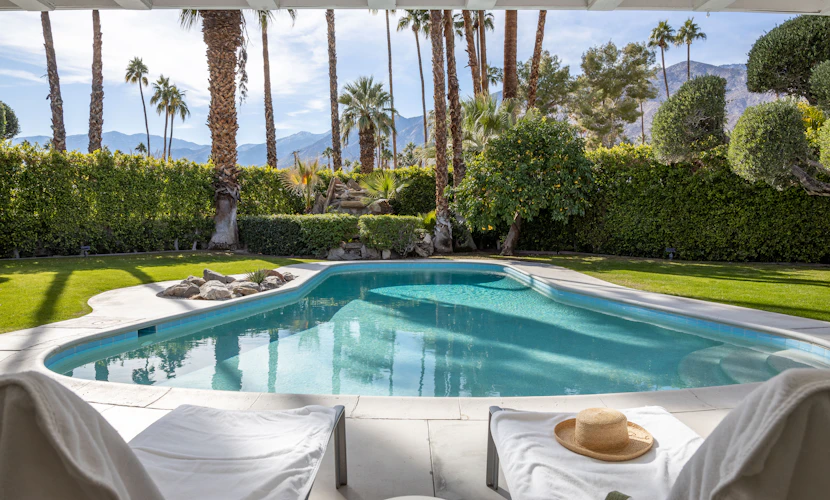 Casa Cactus - Deepwell Midcentury Oasis