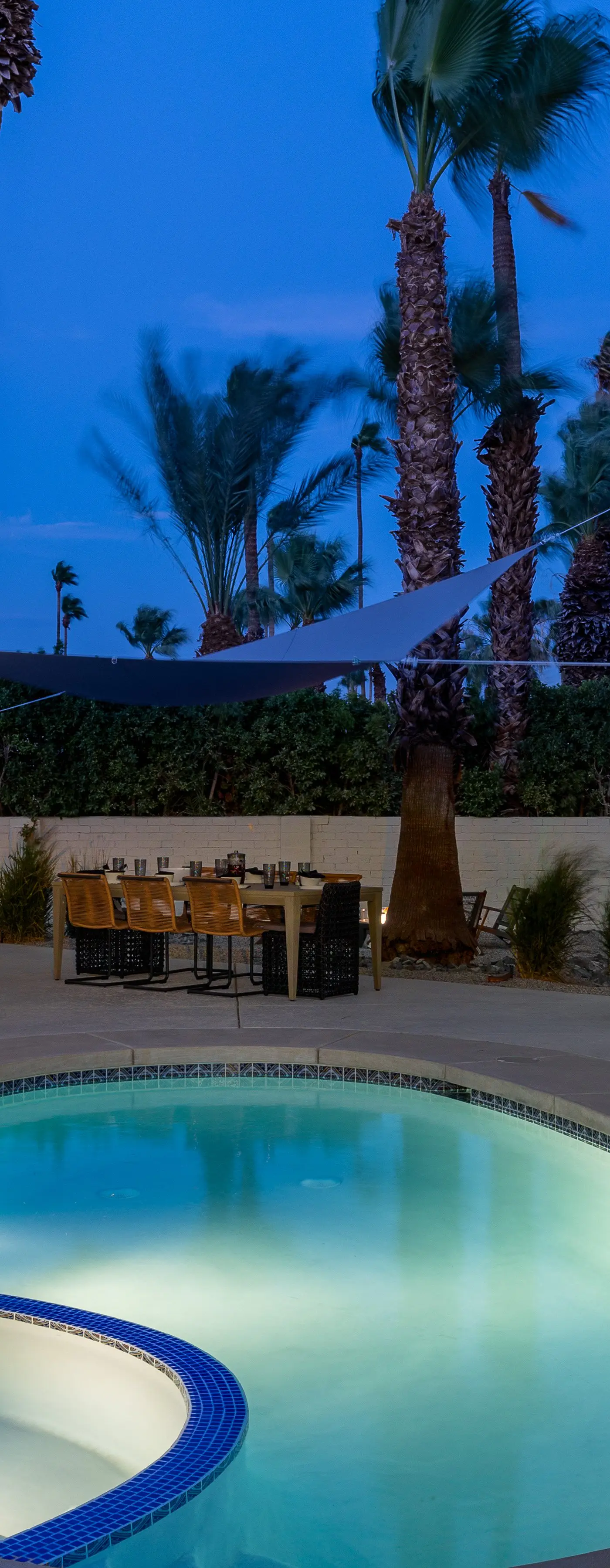 Eleven Palms
