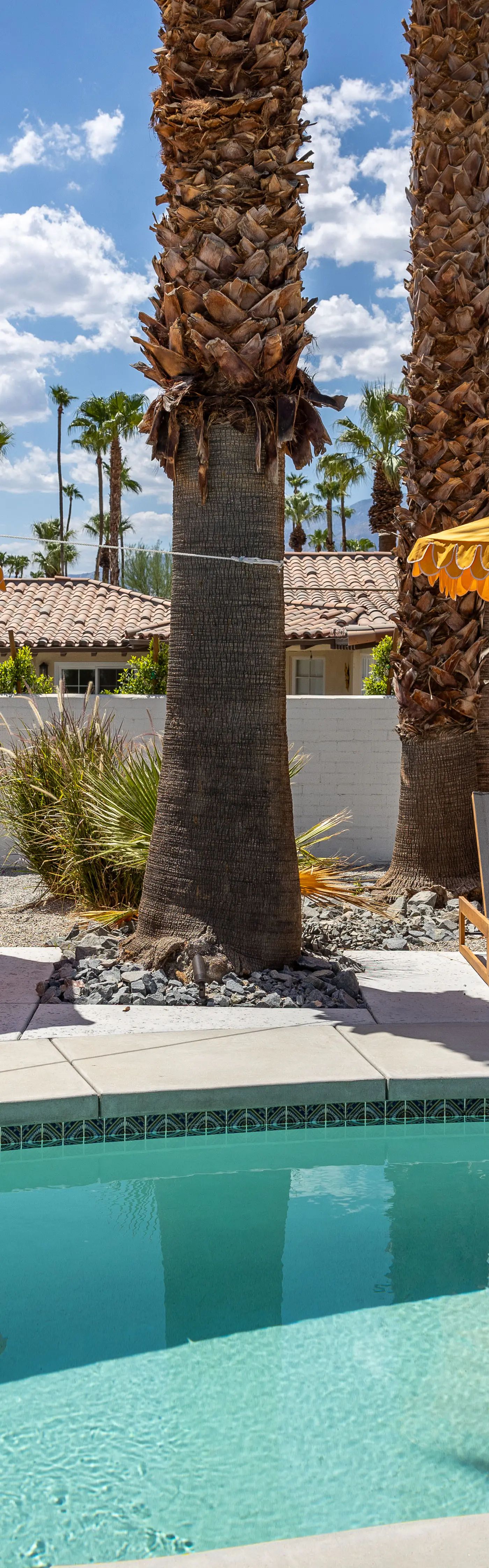 Eleven Palms