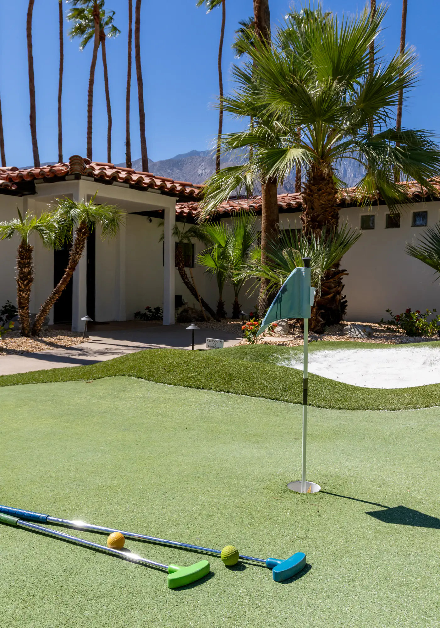 77 Palms