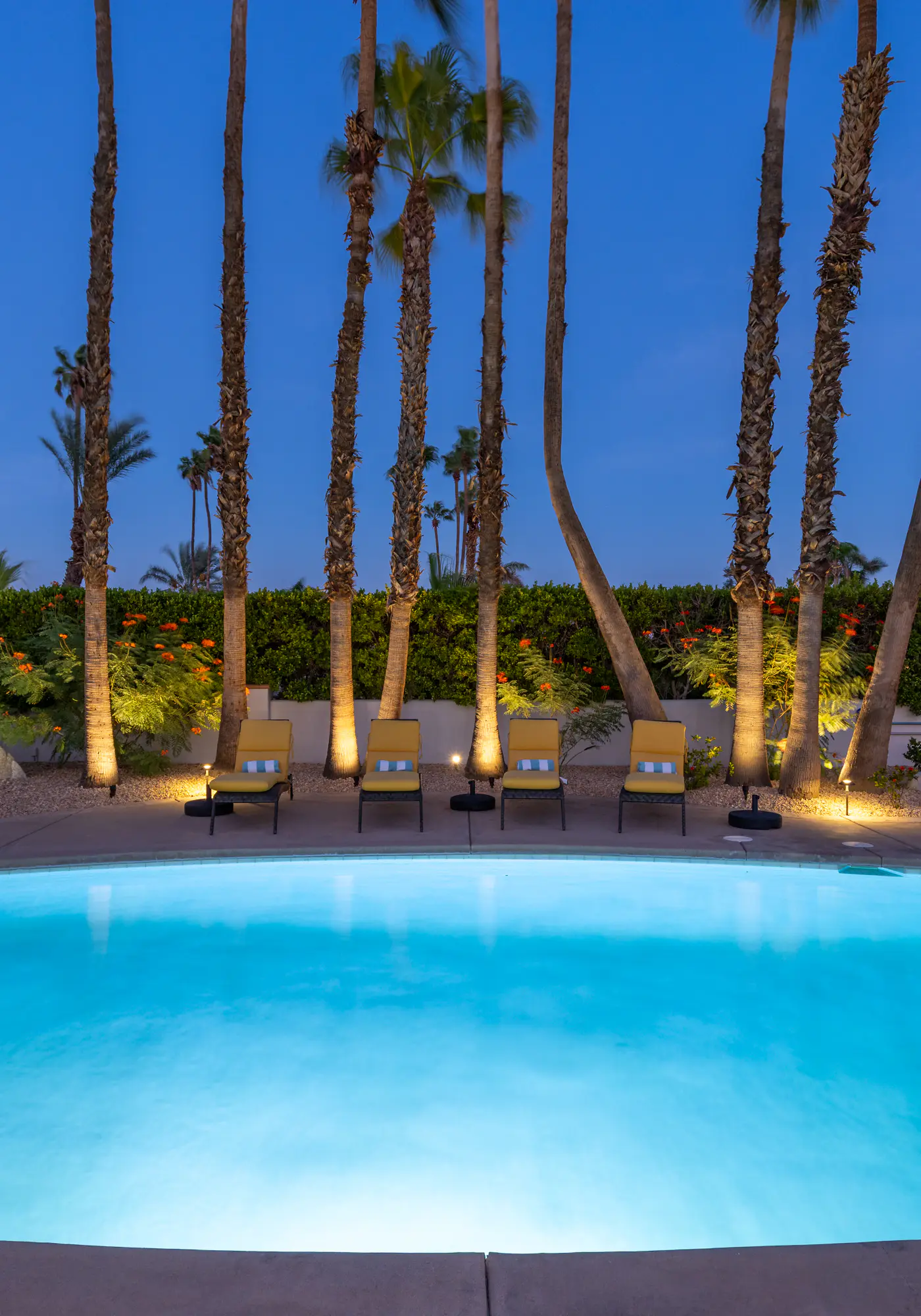 77 Palms
