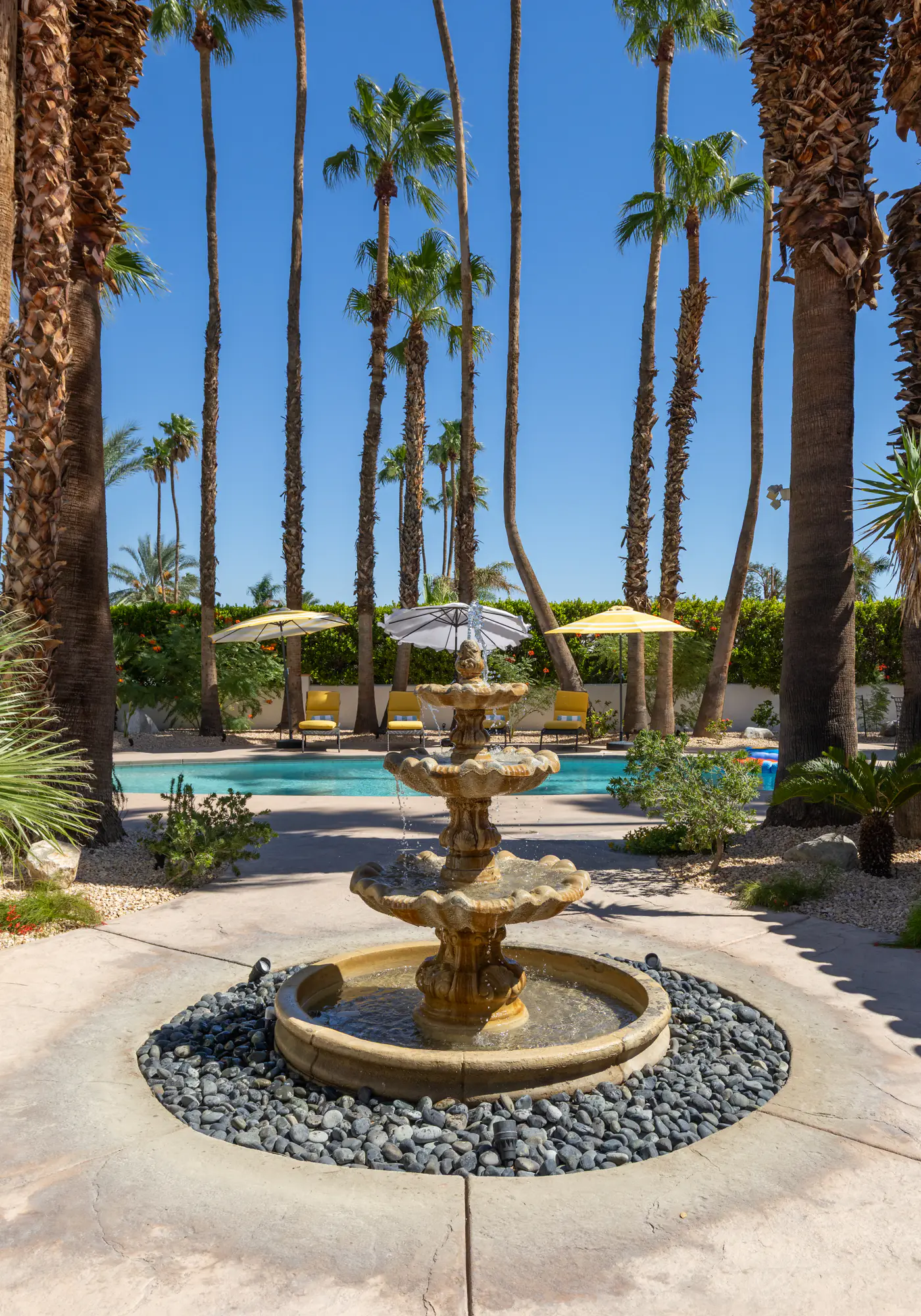77 Palms