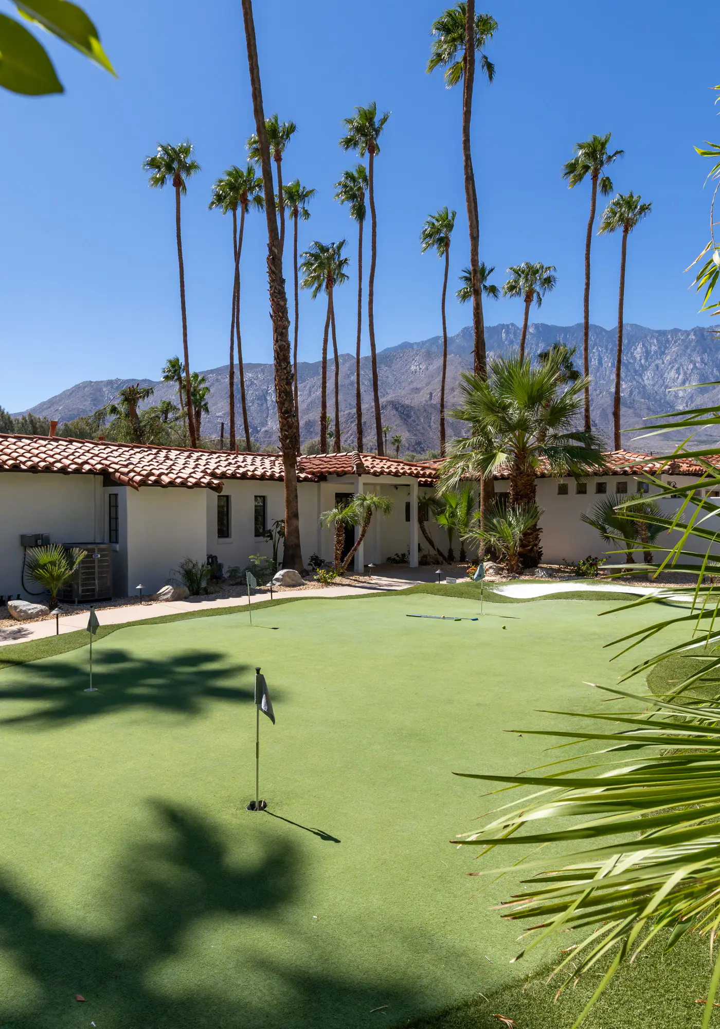 77 Palms