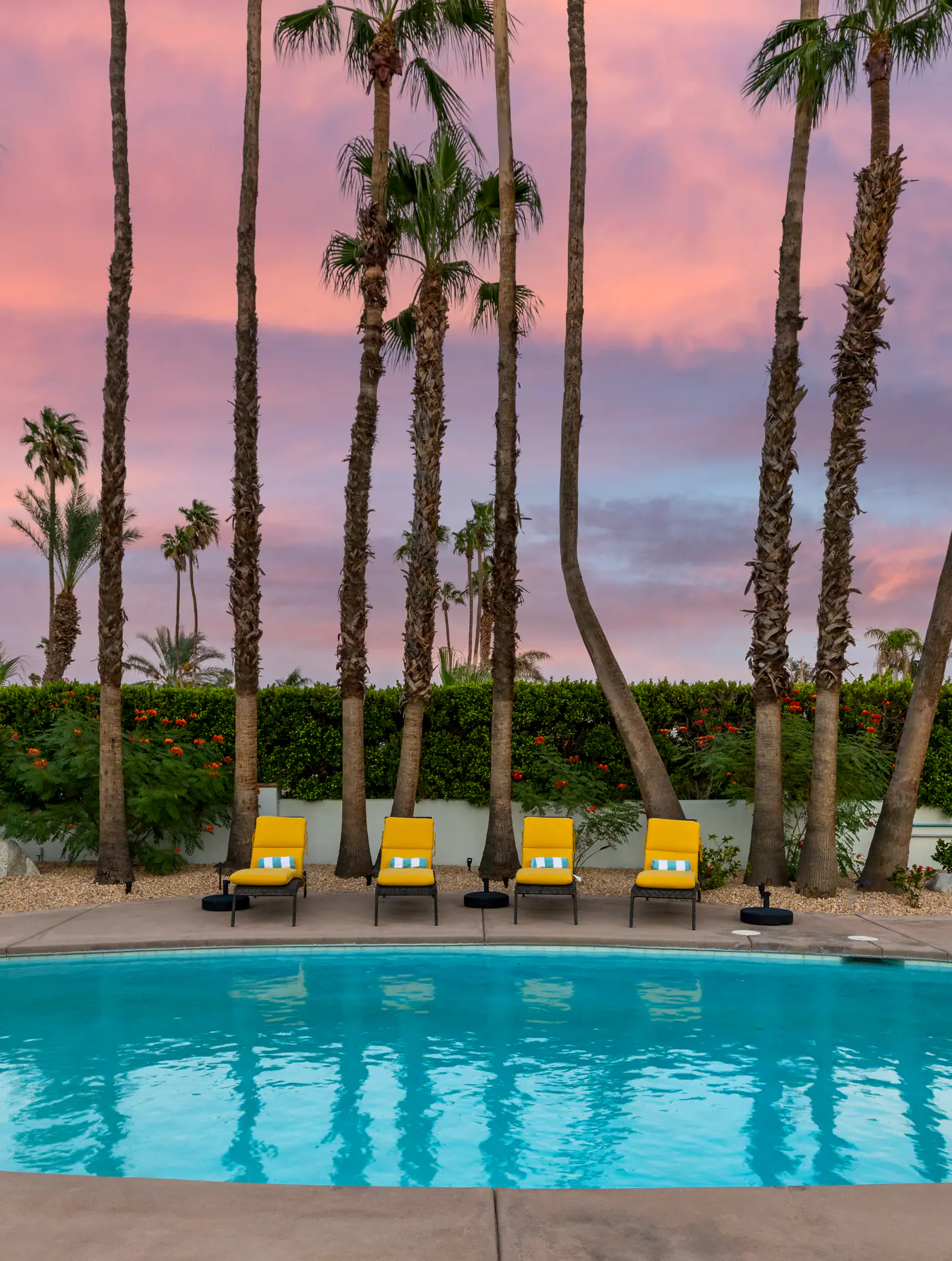77 Palms
