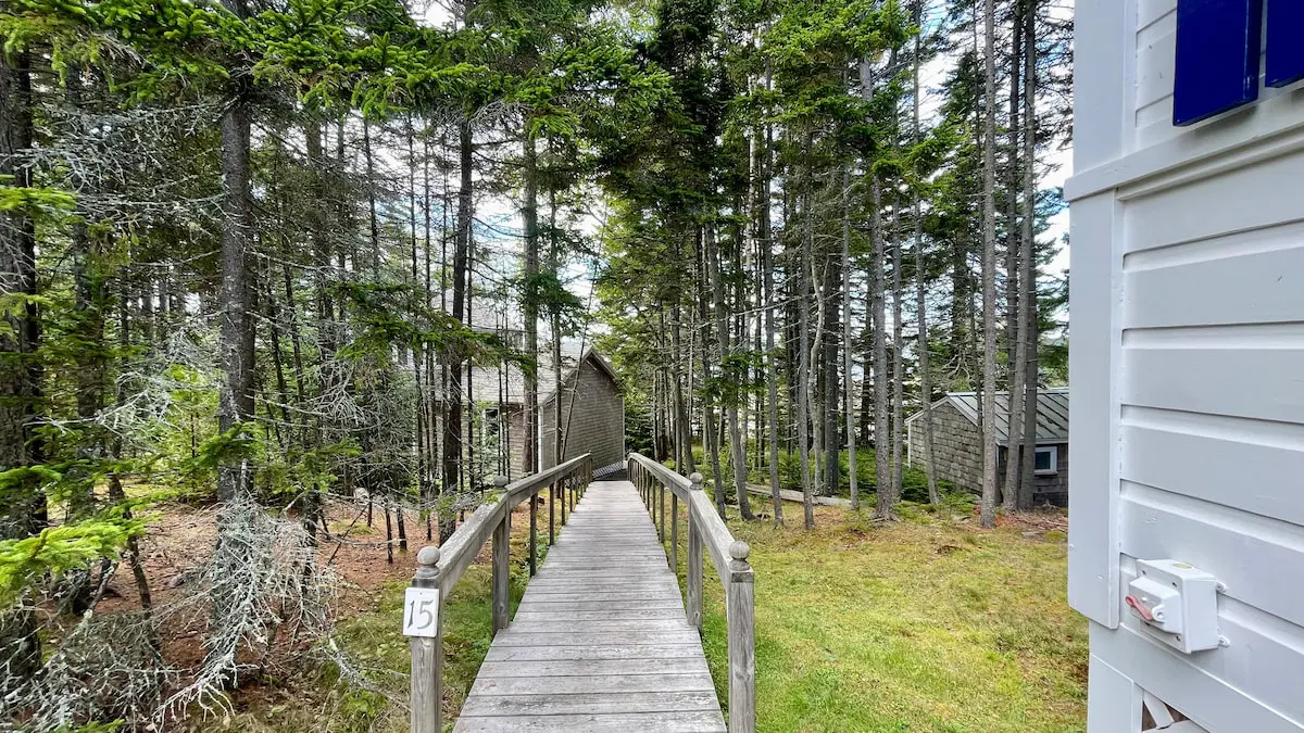 Whispering Spruces