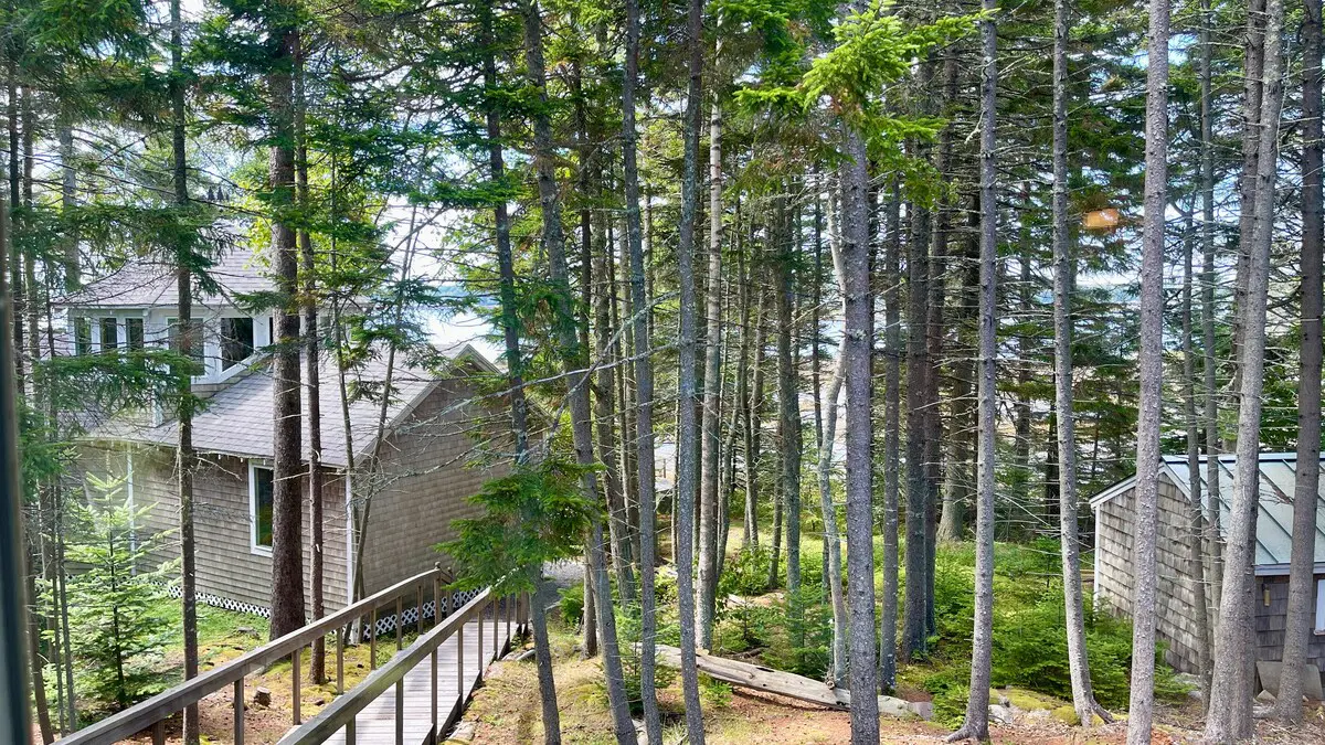Whispering Spruces