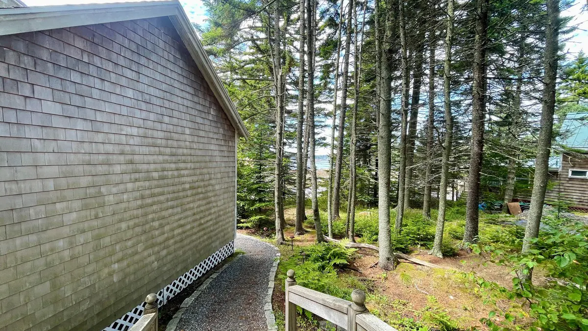Whispering Spruces